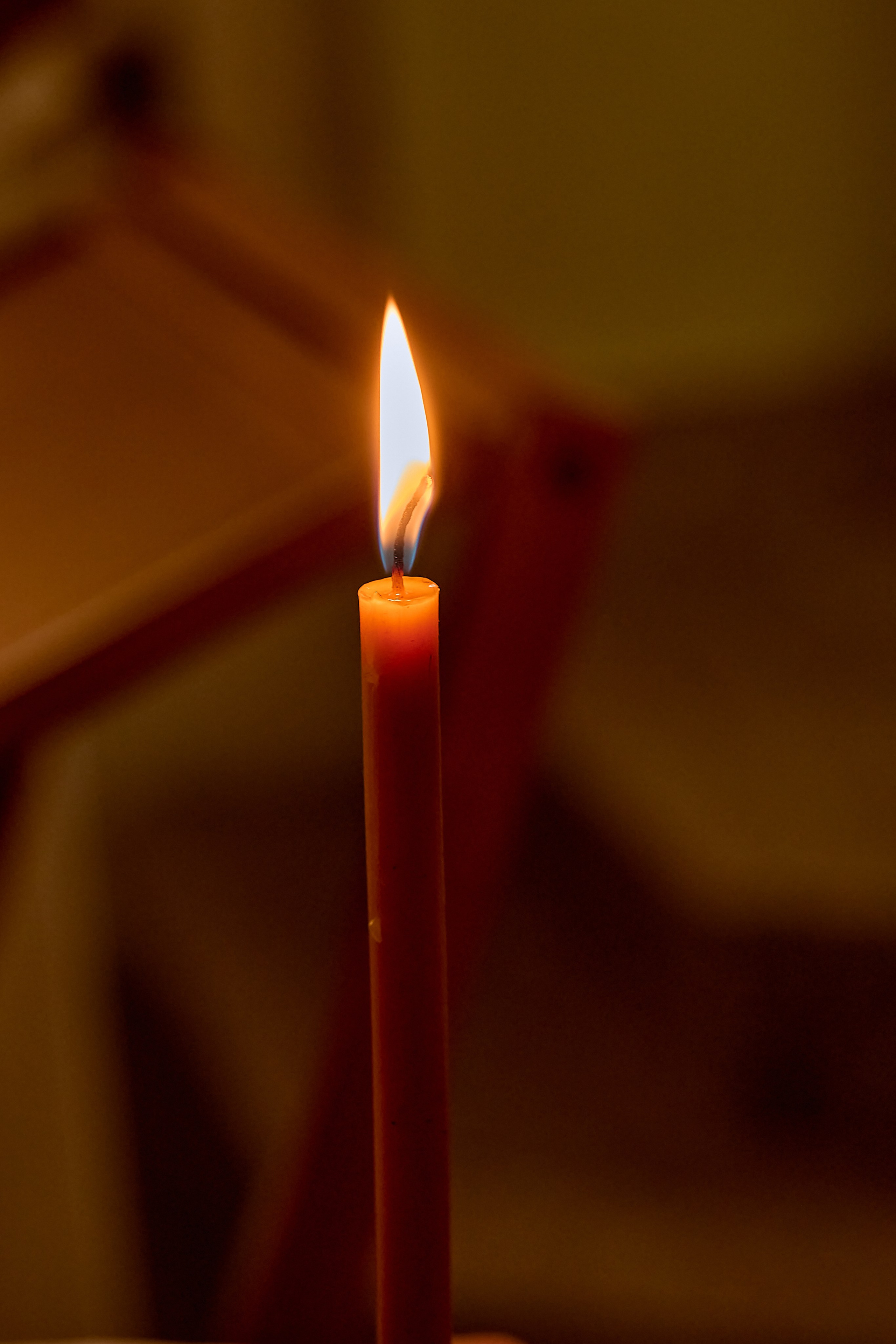 Настройки фотоаппарата в любых условиях: просто и быстро