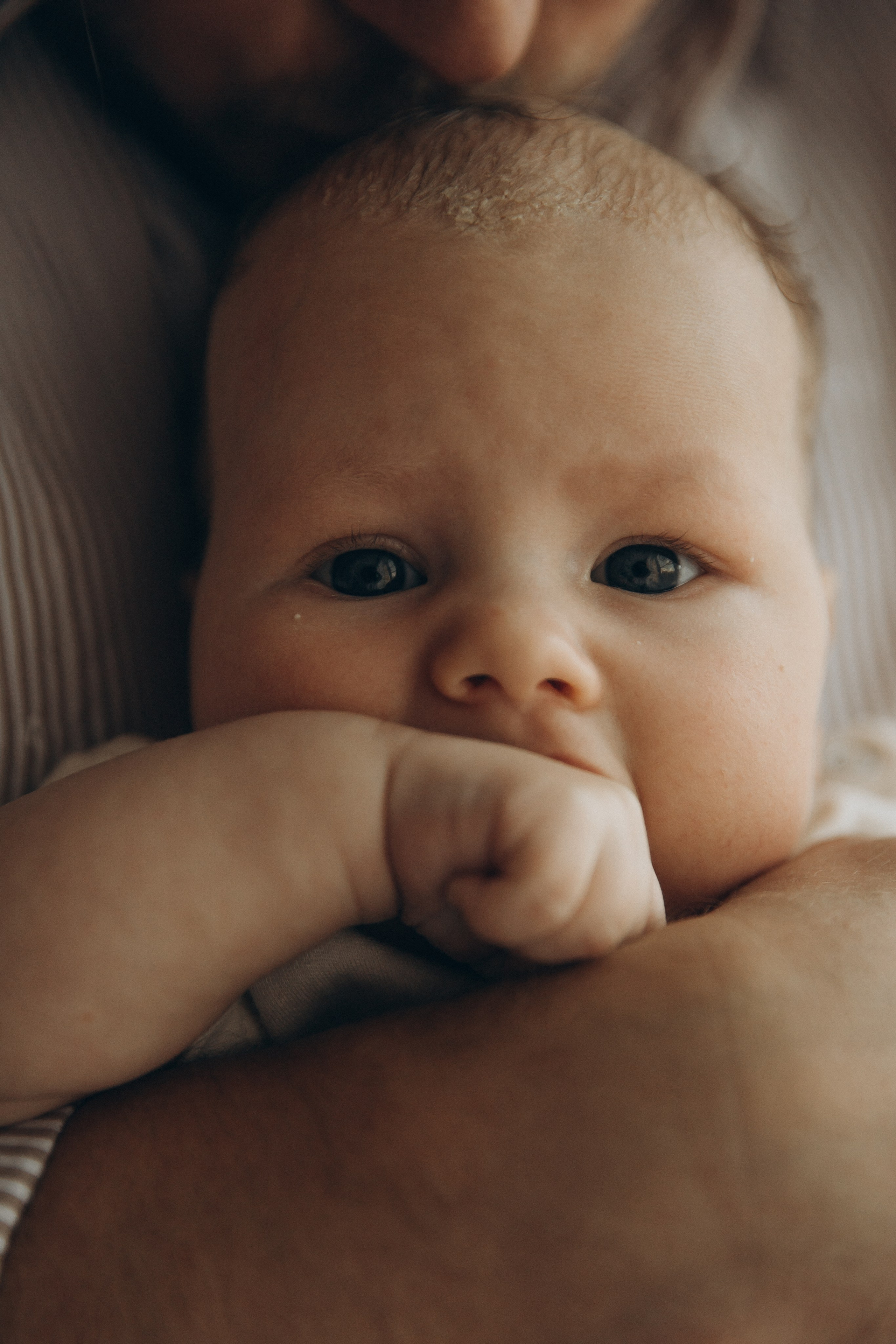 Семейный фотограф в Москве и Королеве Евгения Баукова