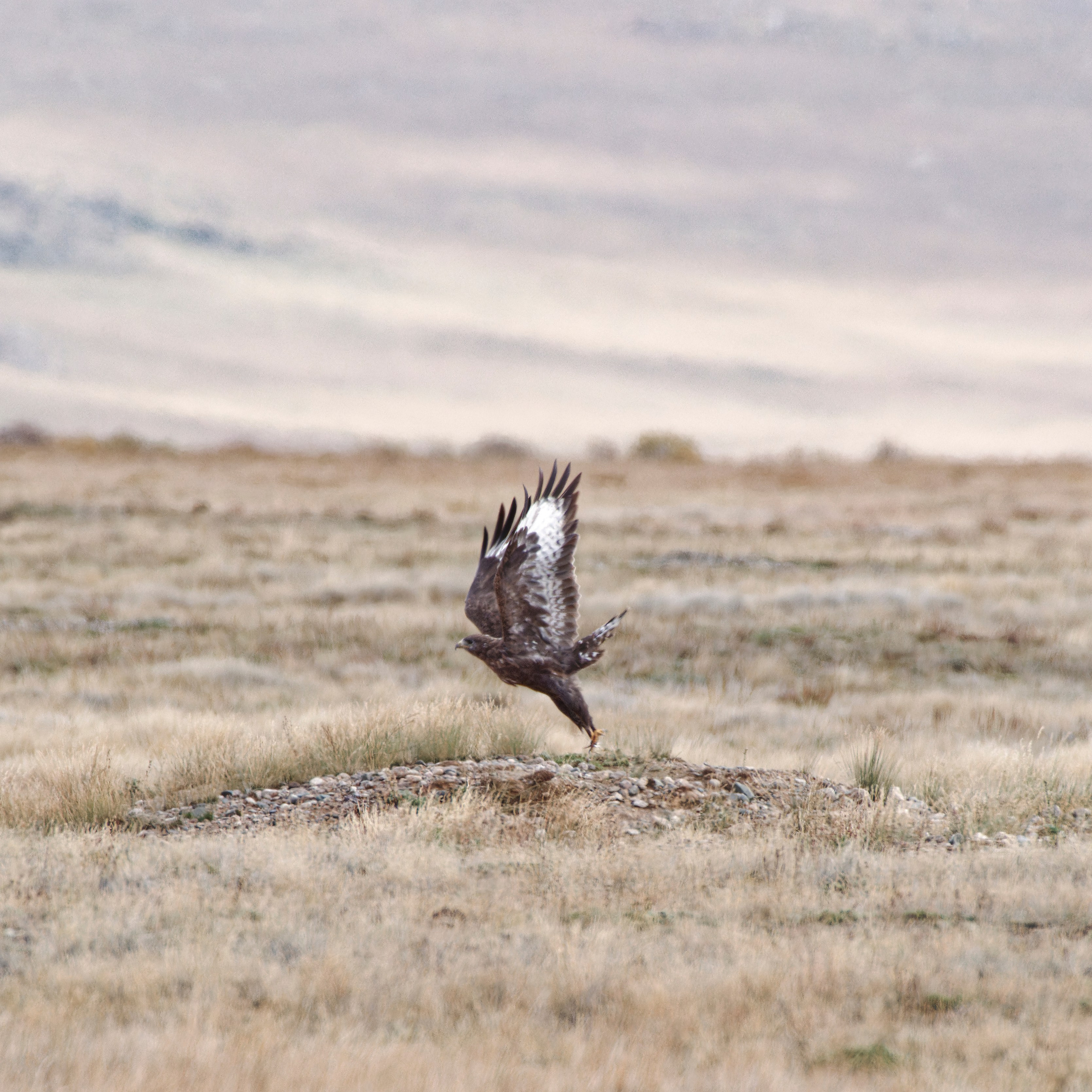Путешествие по южному Алтаю. Семоха Валерий. Фотограф