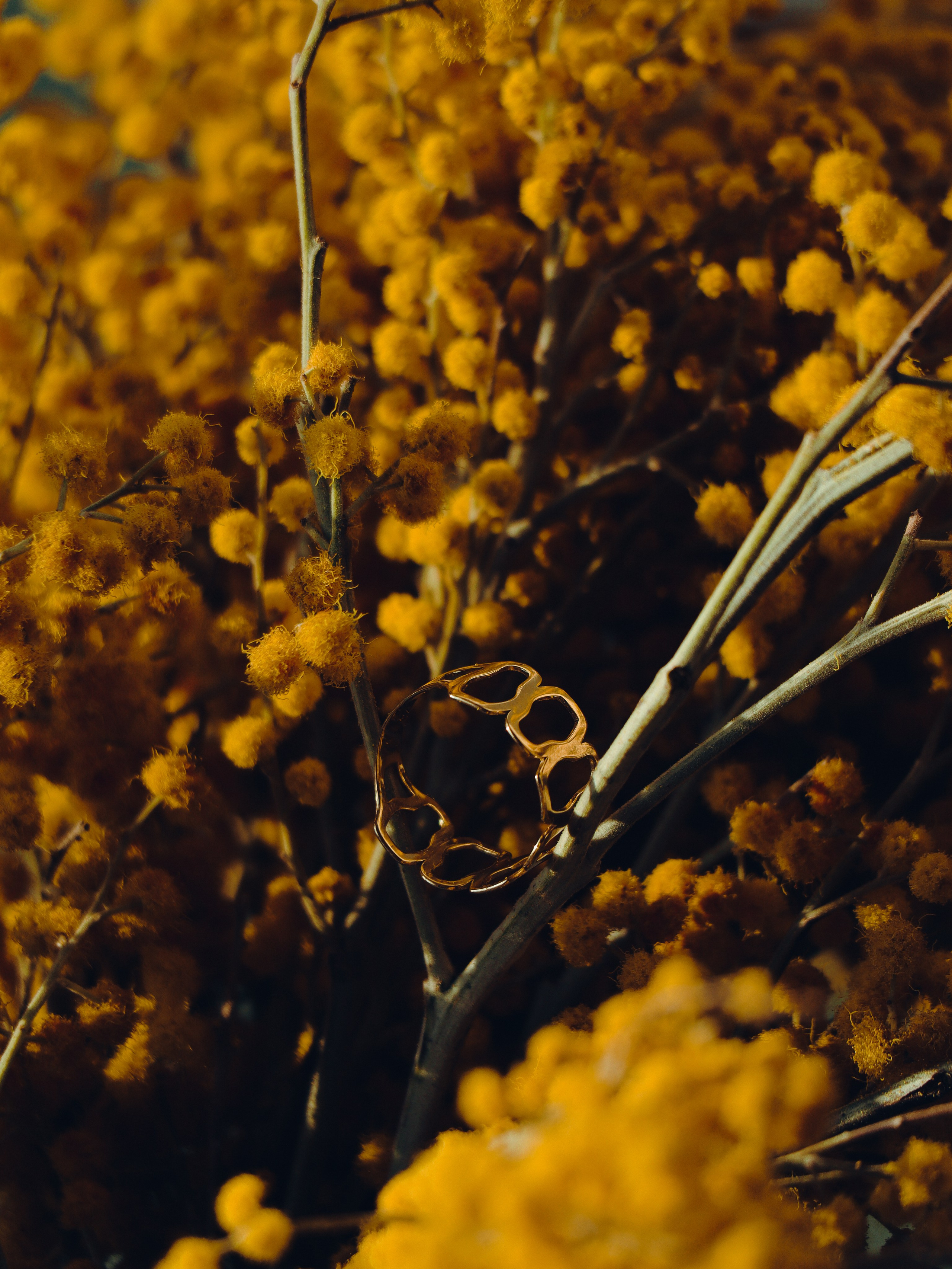 КОНТЕНТ-СЪЁМКА. ИНФО. Кинематографичный фотограф, видеограф Лина Плешакова, Санкт-Петербург