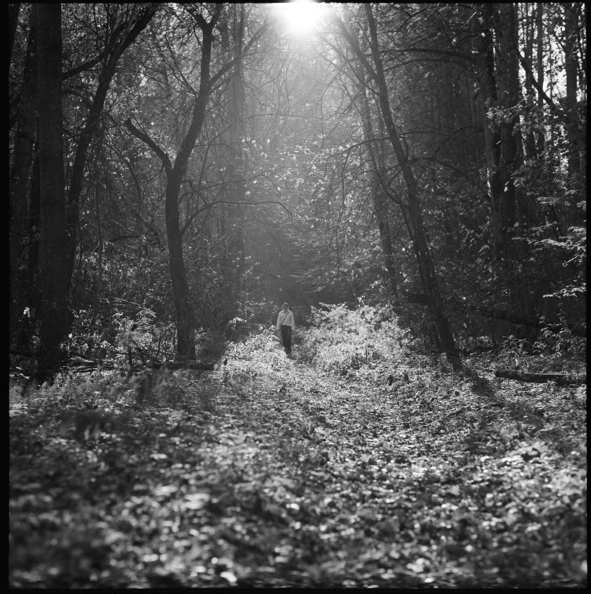 Усадьбы Яропольца. Paintings by the artist Sergey Ratchin