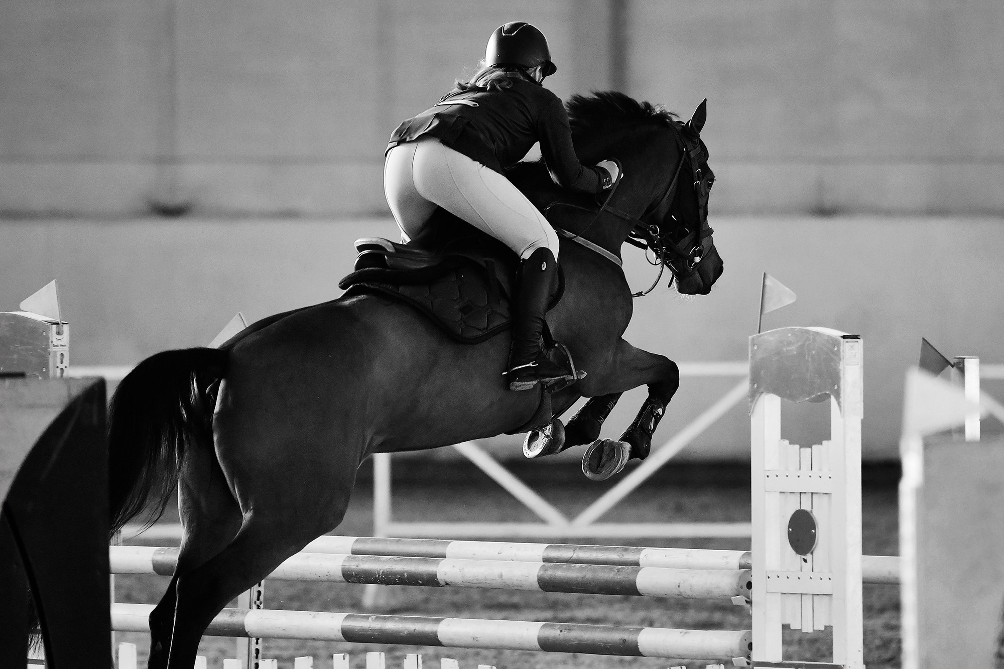 Конкур: кск «Дерби» 18 — 19.10.2025