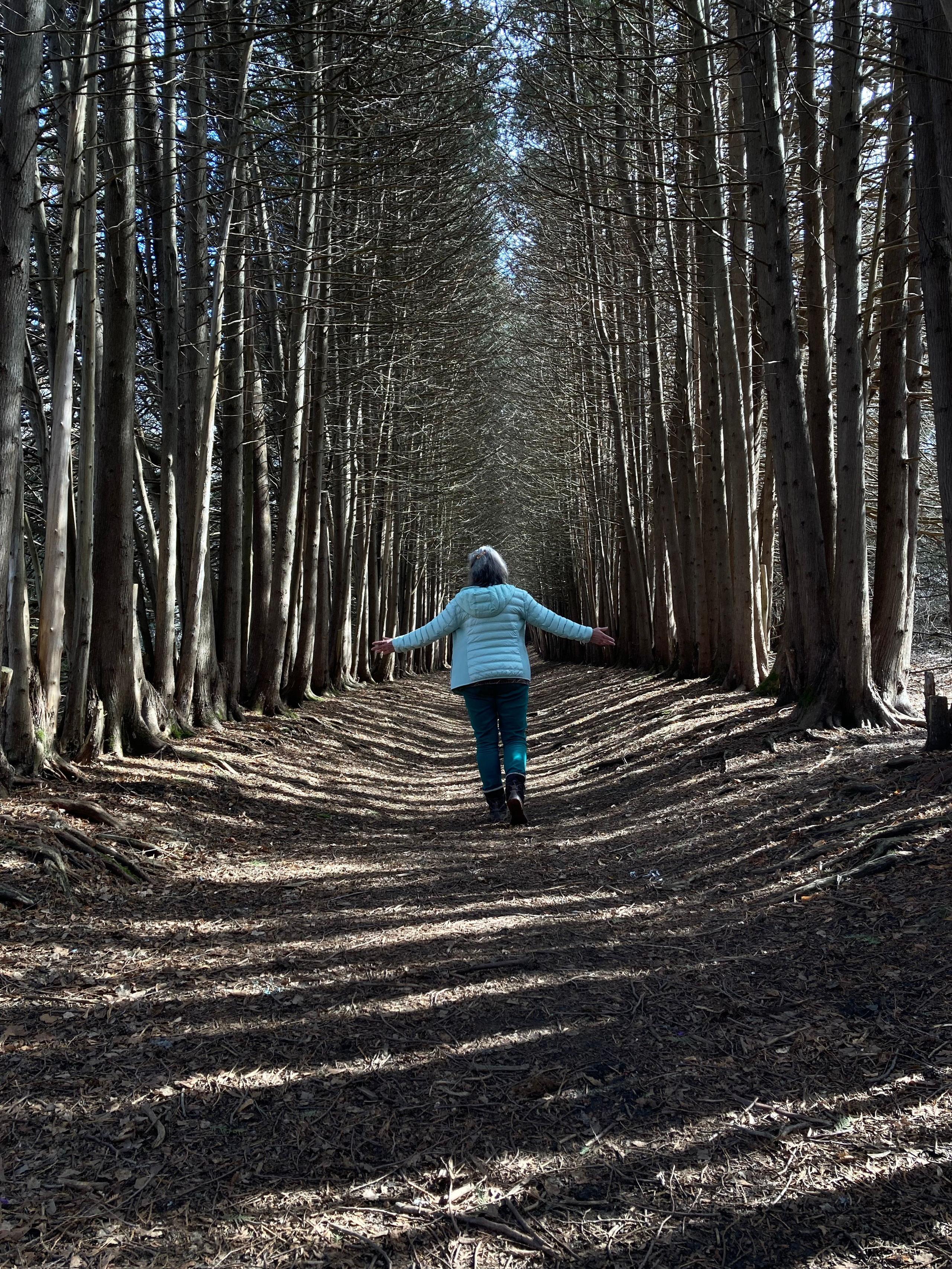 Кисловодск. Смотри, красота!