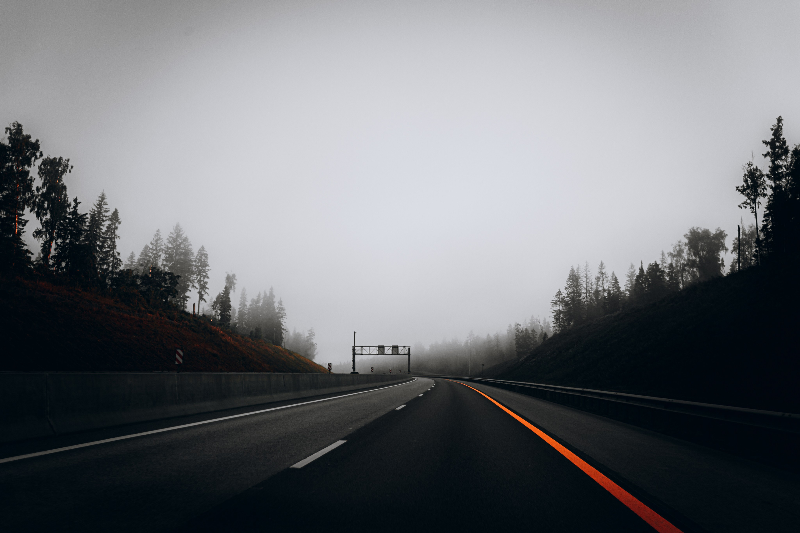 Постеры. Roycoreroy