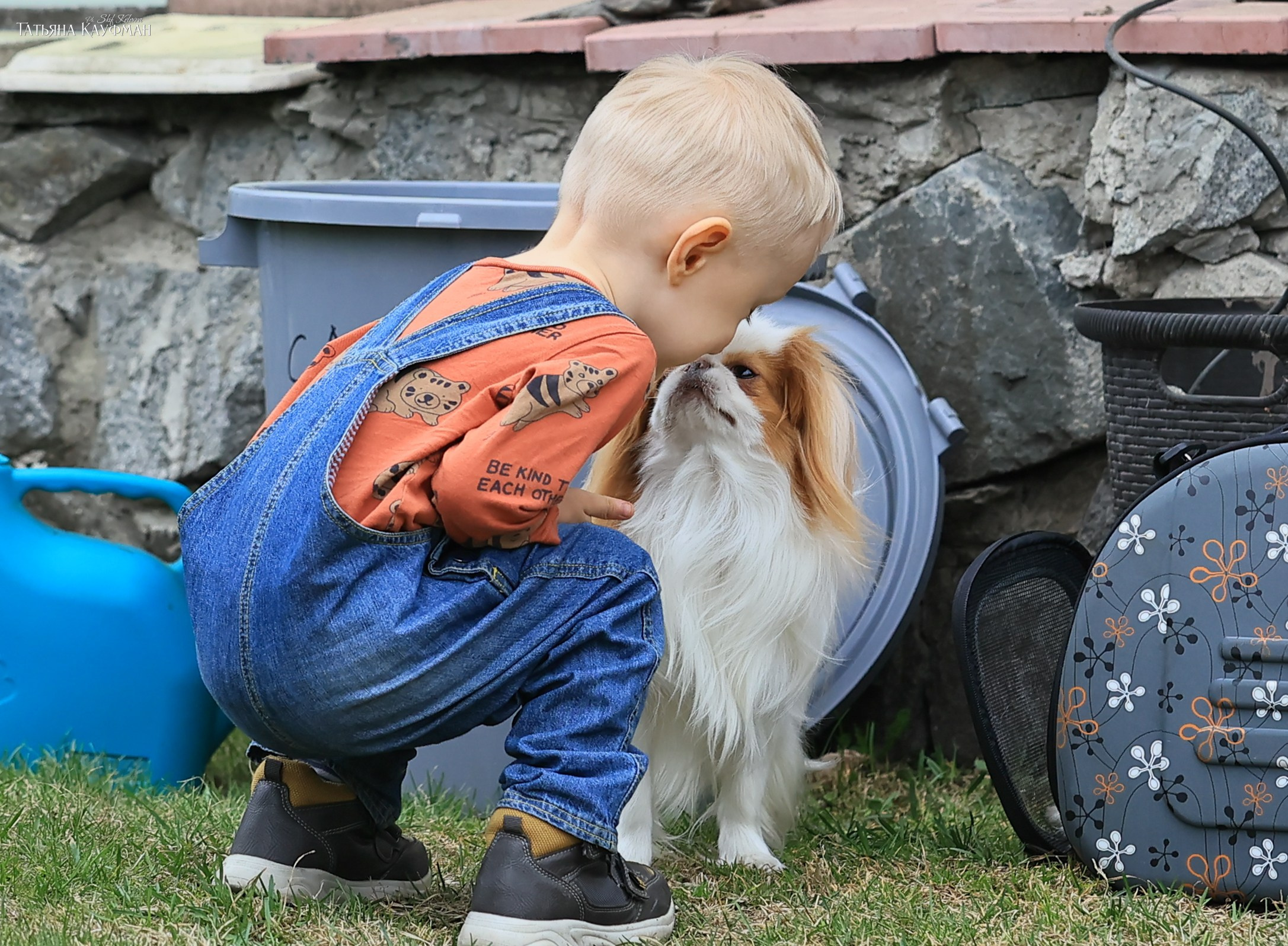 Охиненный фотодень. Фотограф Анималист из Новосибирска Татьяна Кауфман