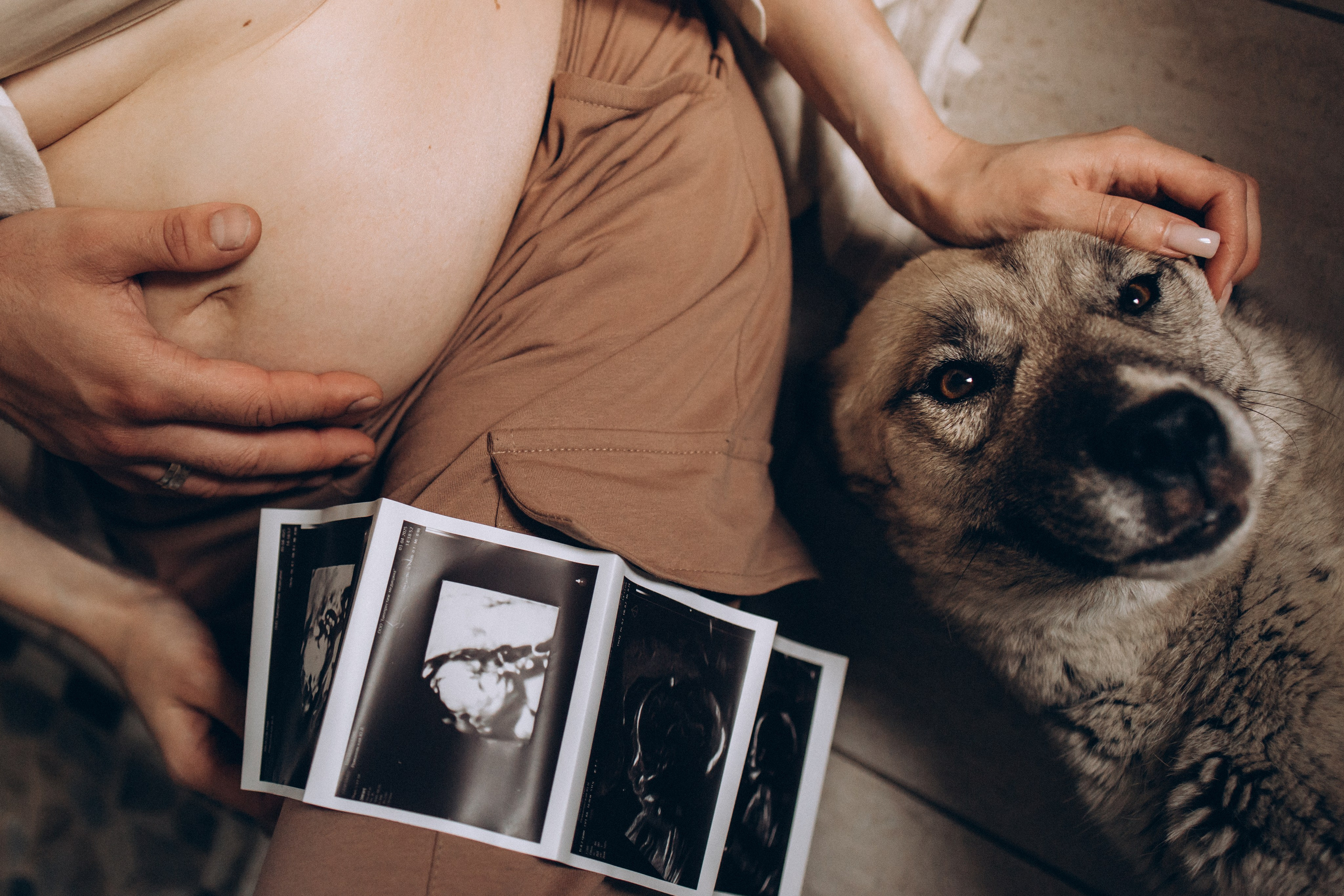 Семейный фотограф в Москве, Щелково, Фрязино _ Виктория Степанова