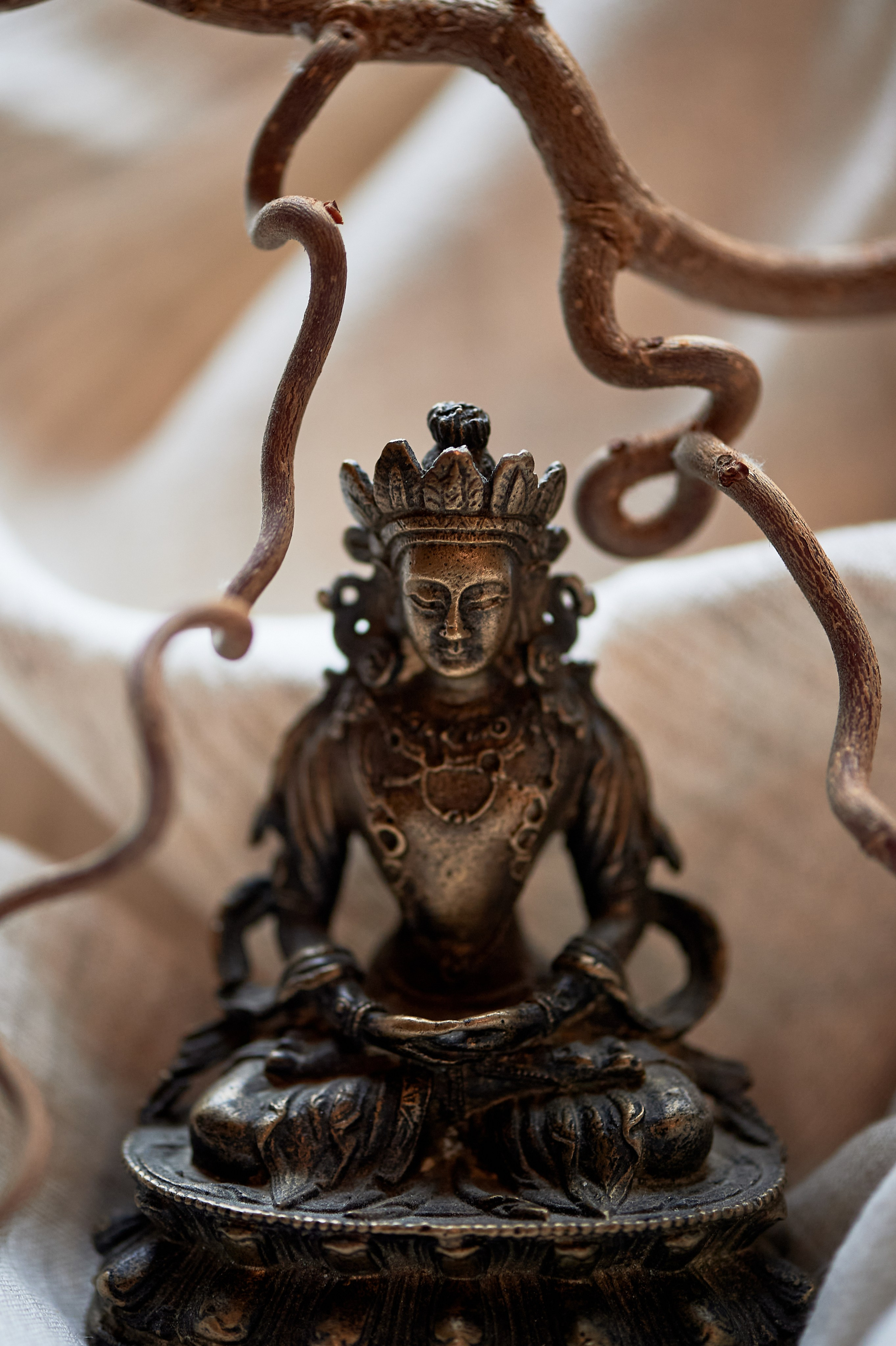 Творческая предметная фотосессия. Фотограф, психолог в Москве, Жуковском, Раменском Галина Майлер