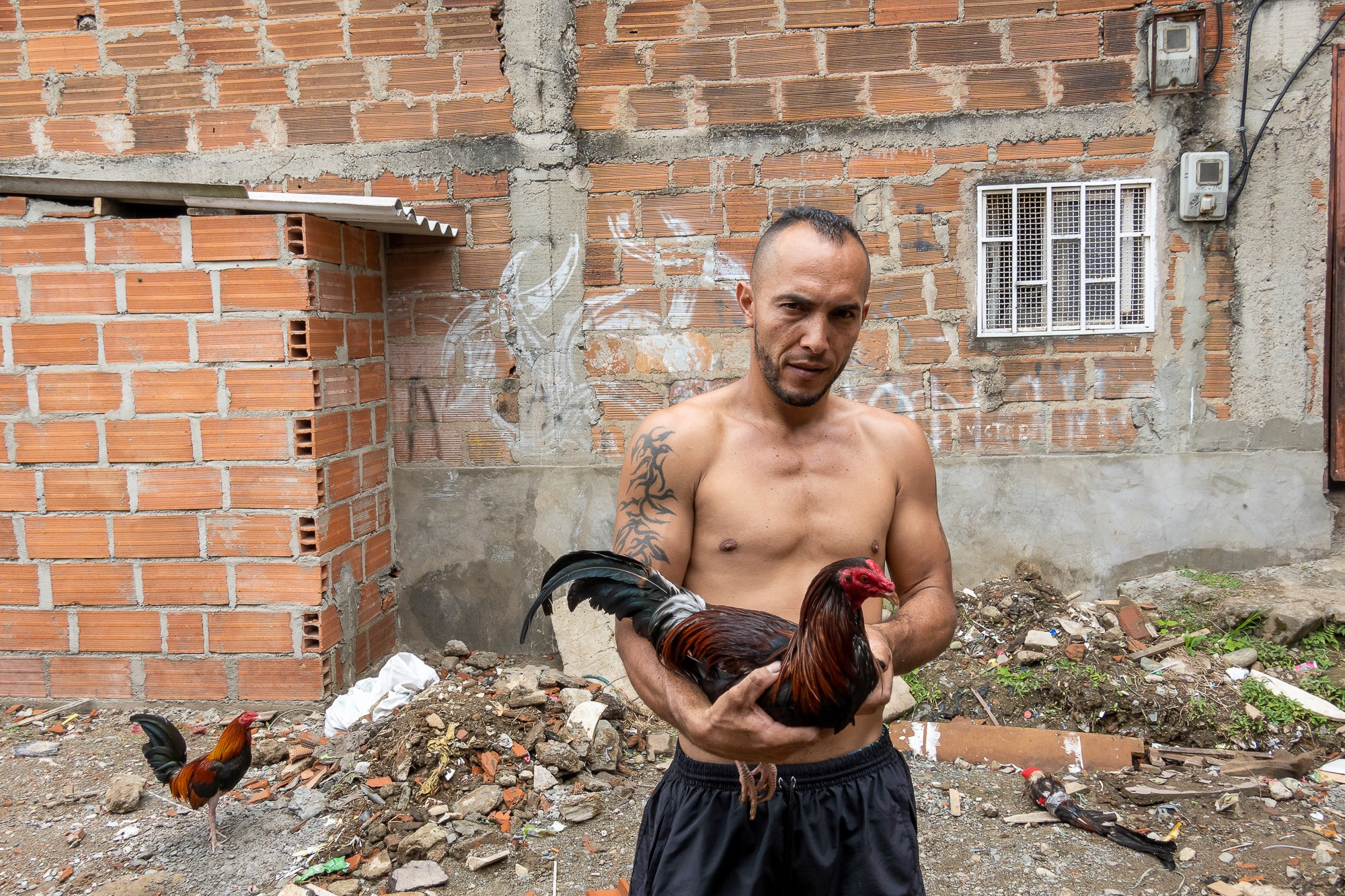 Колумбия Медельин. Colombia Medellin. Фотограф Алексей Скоробогатько