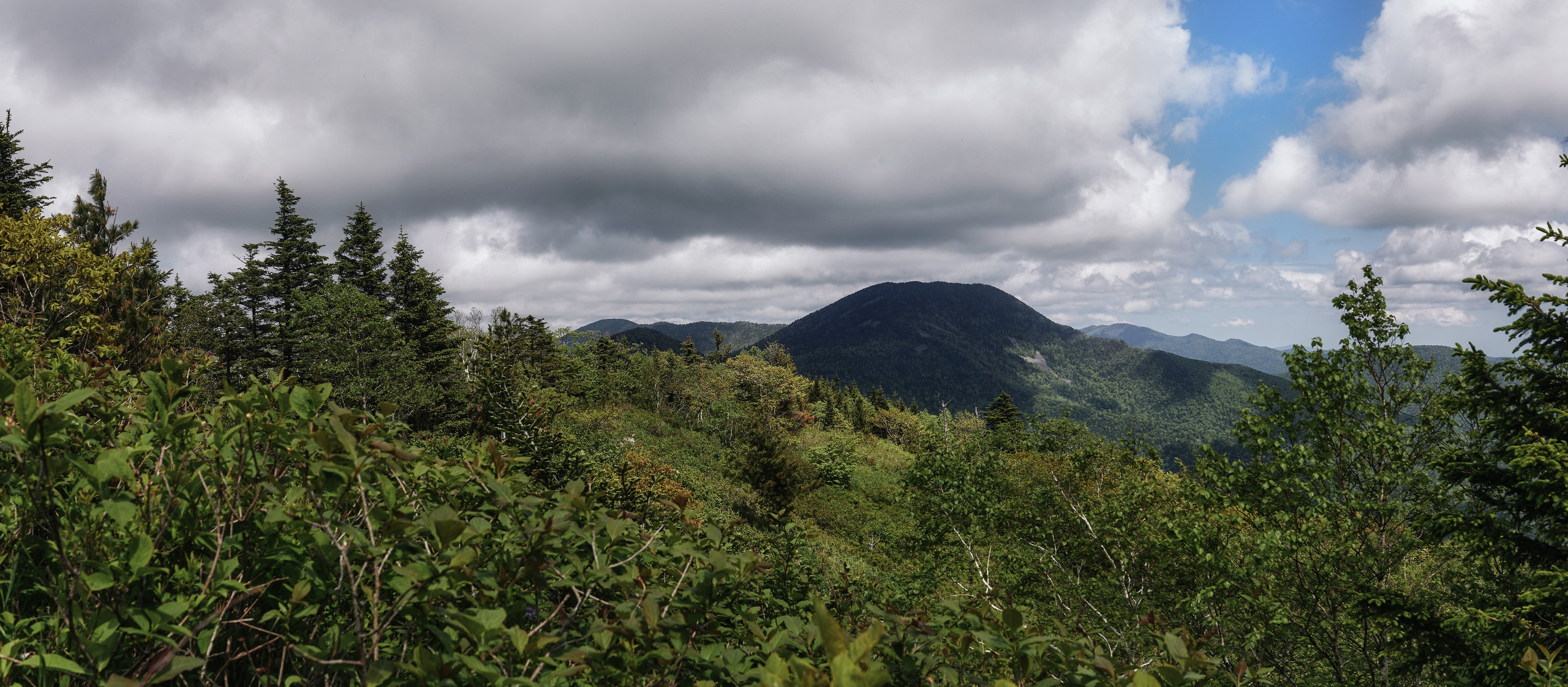 Фото с вершины горы Макарихи в Приморском крае