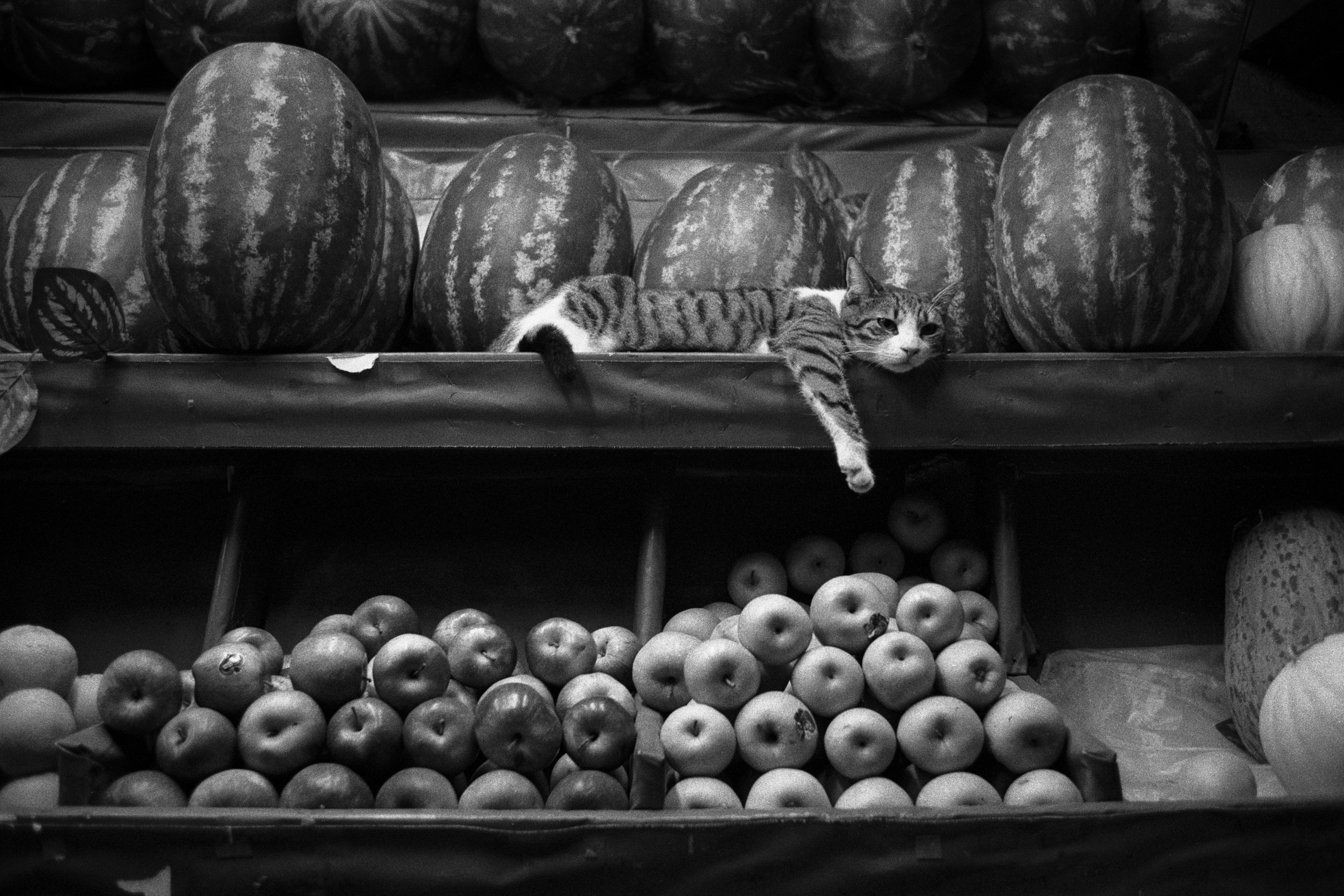 Istanbul / Türkiye. Фотограф Юрин Евгений