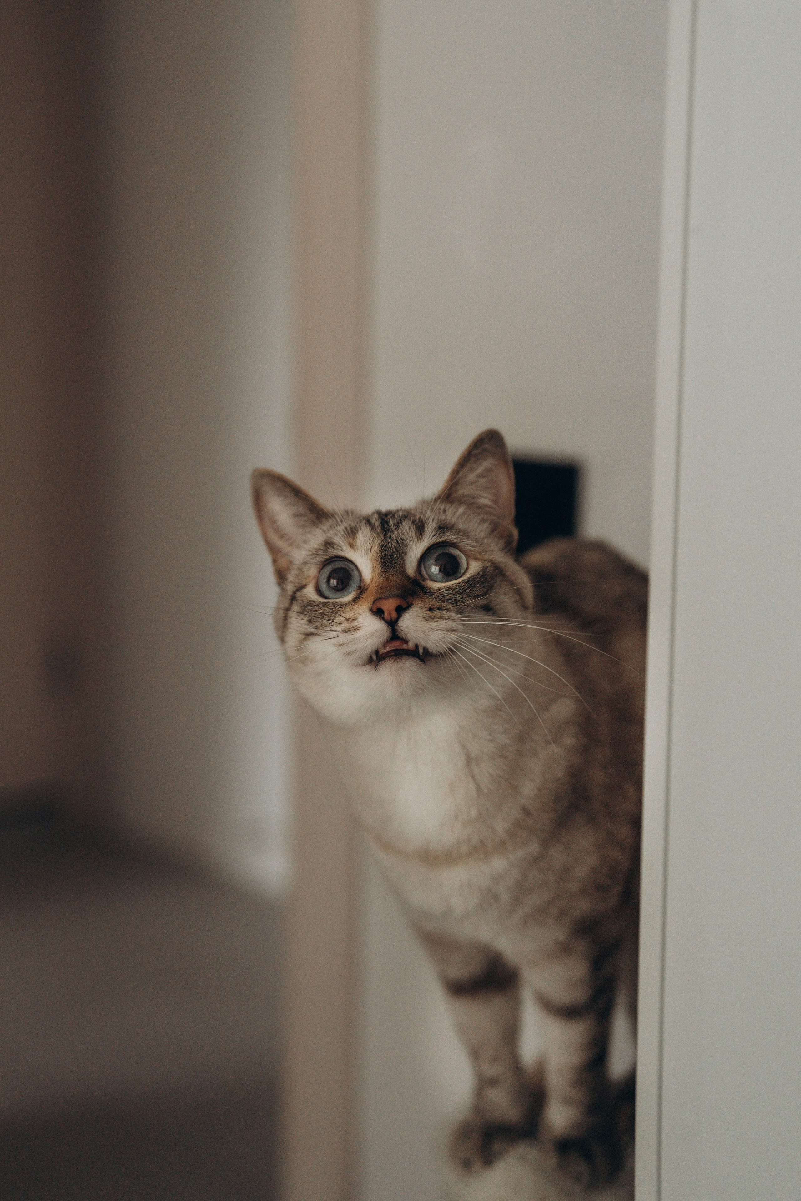 29.12.2024. Елизавета Шумик Семейный Фотограф