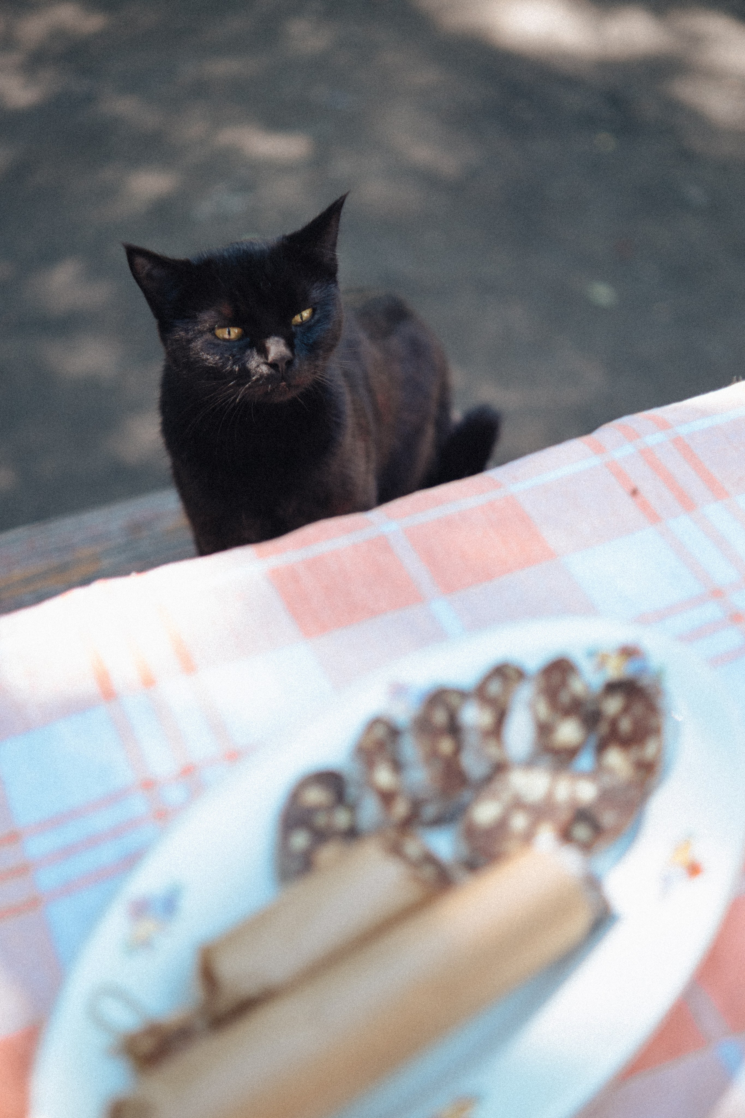 Вкус детства (Малинники). Анна Демидова — фотография для жизни и бизнеса в Абакане