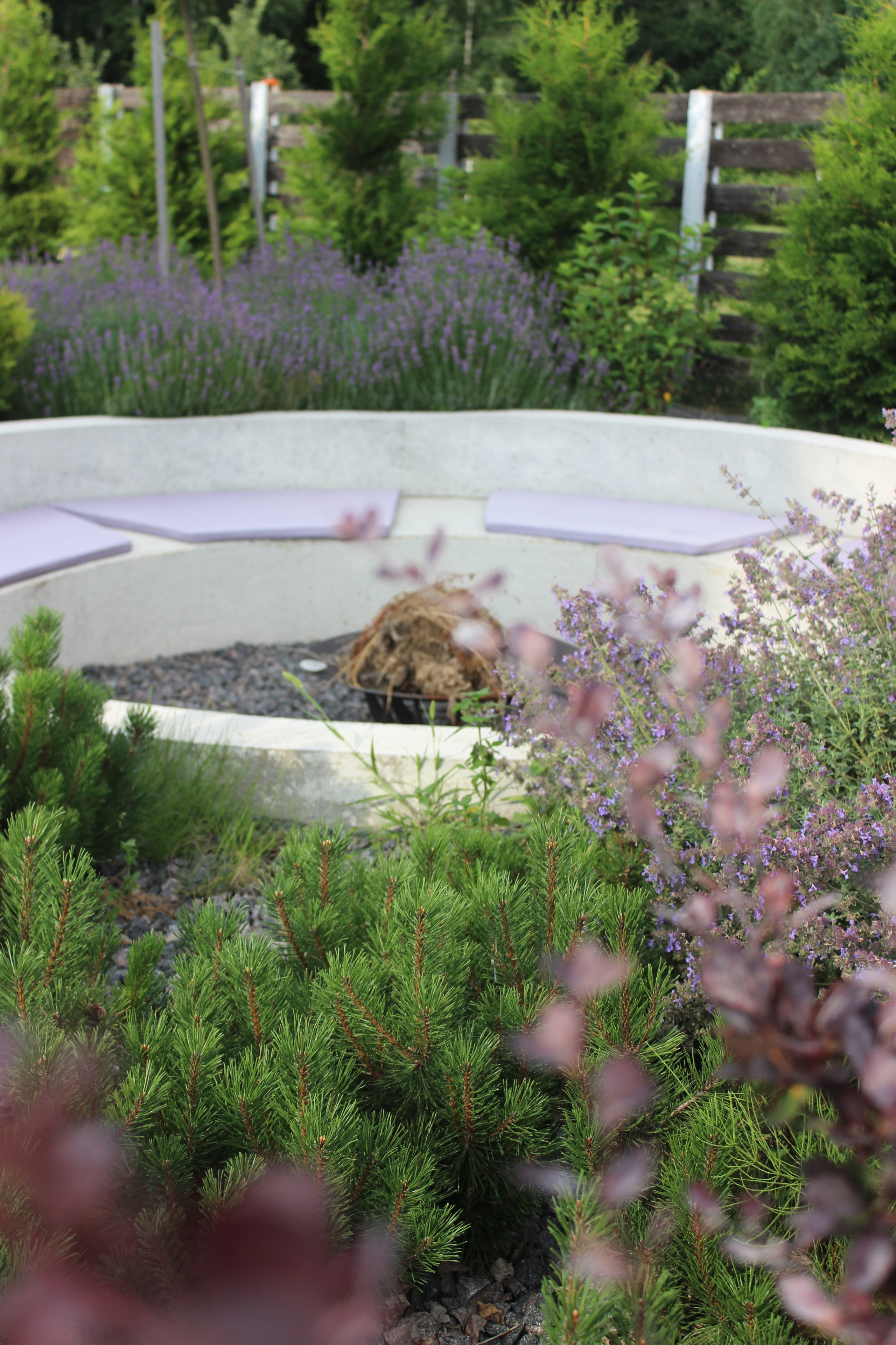 GARDEN IN R. LA. Ландшафтный дизайн в Минске и Гродно