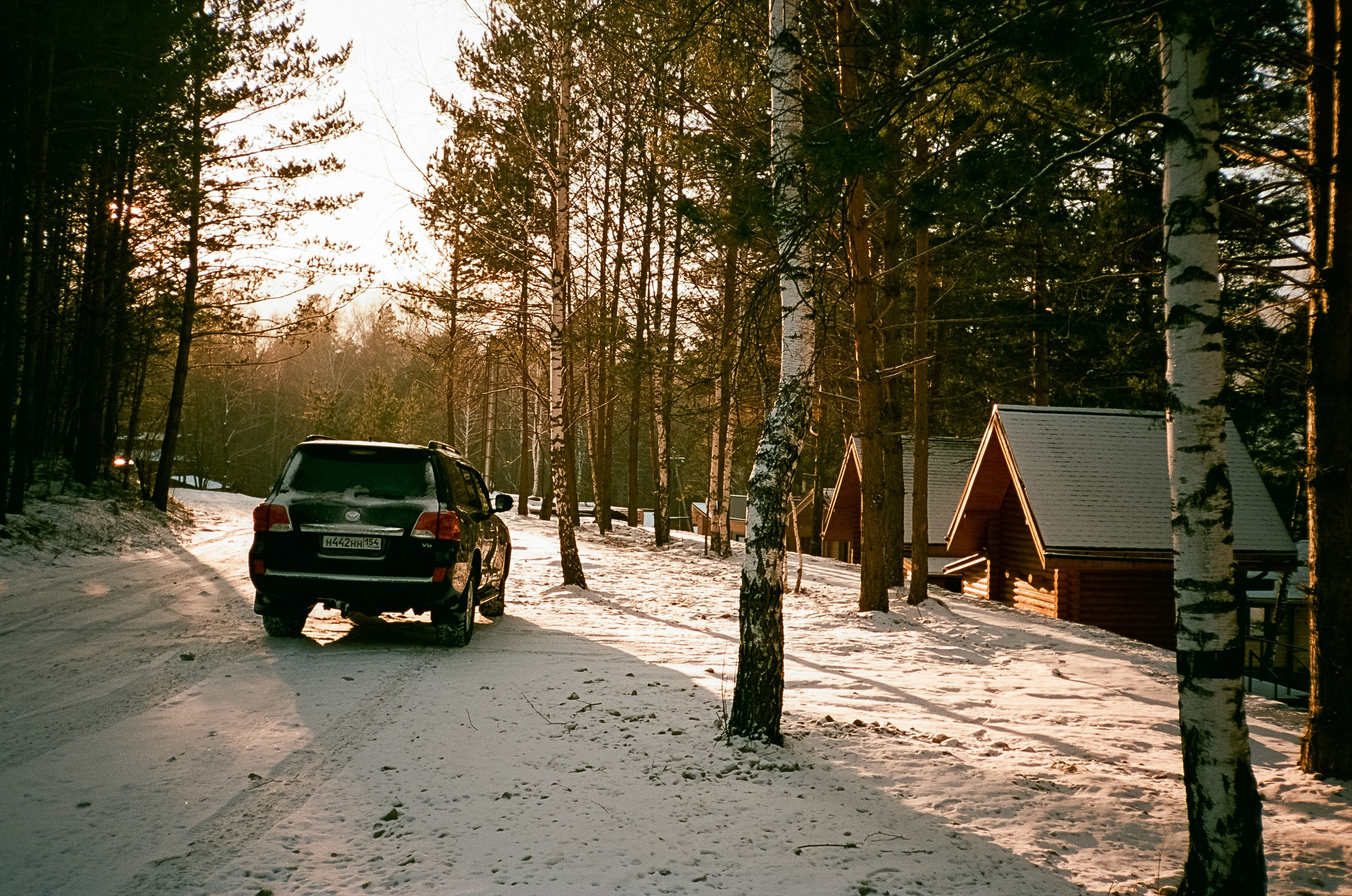 Семинский перевал / 19 декабря 2023 года (-18℃) / Kodak Aerocolor IV
