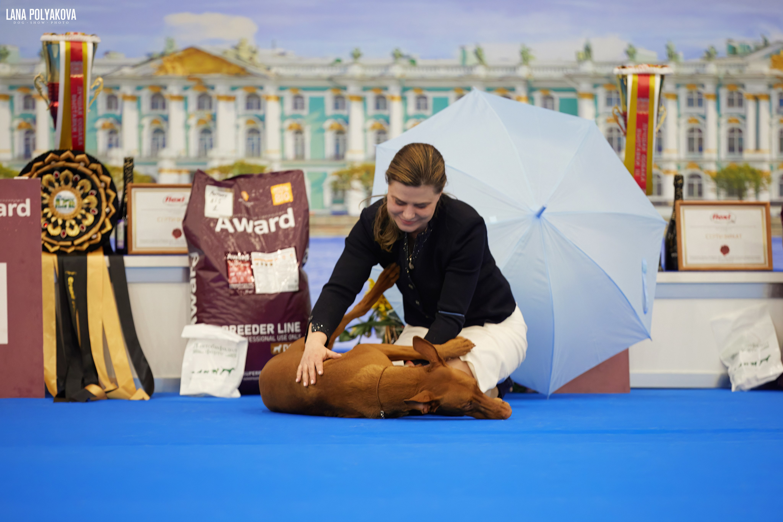 NDS GRAND PRIX «SPRING PETERSBURG 2024» «ELITE-PETERSBURG 2024». ФОТОГРАФ-АНИМАЛИСТ l LANA POLYAKOVA