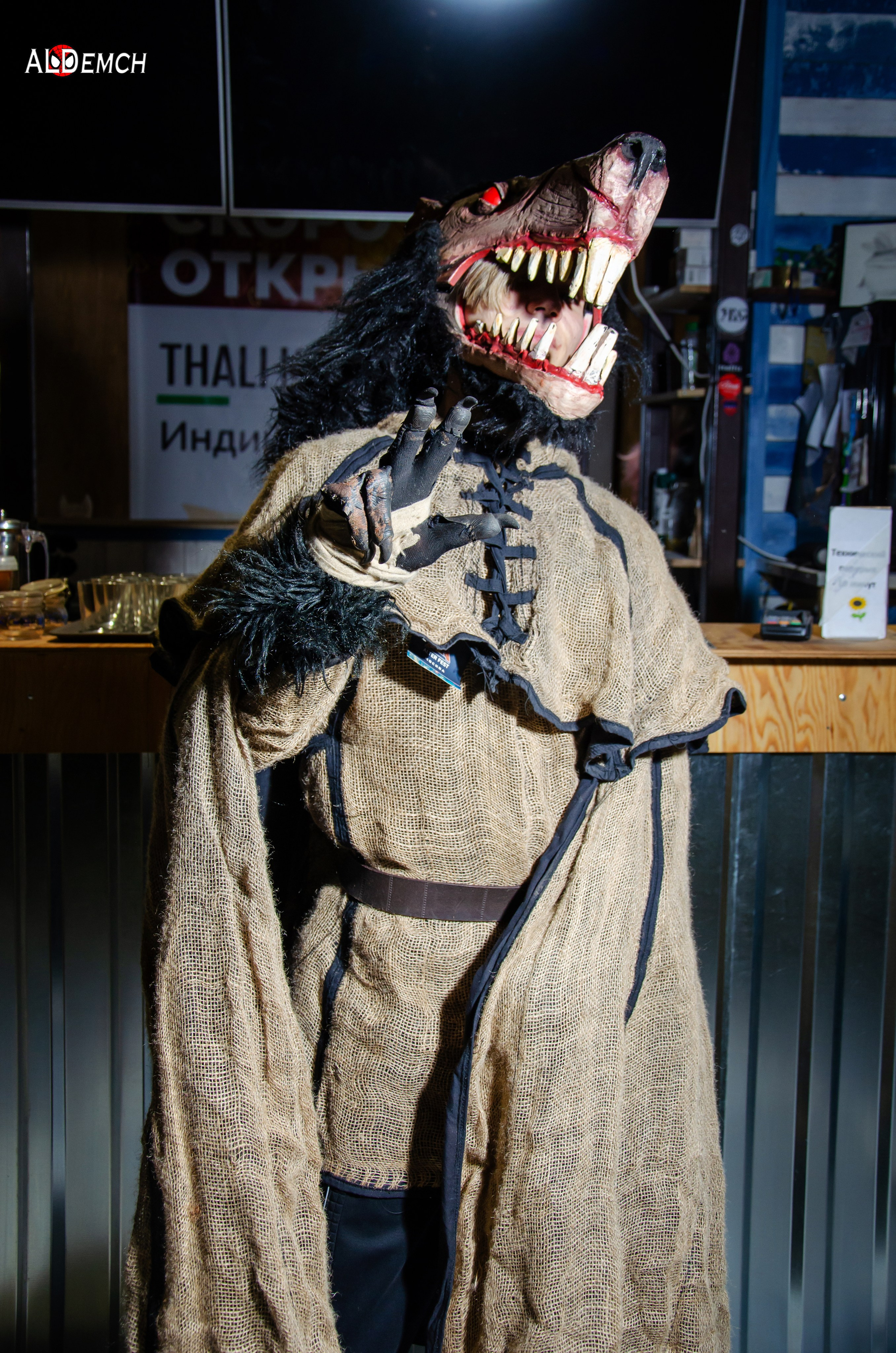 Фотограф для Косплей фотосессии в Москве, Дмитрове, Дубне