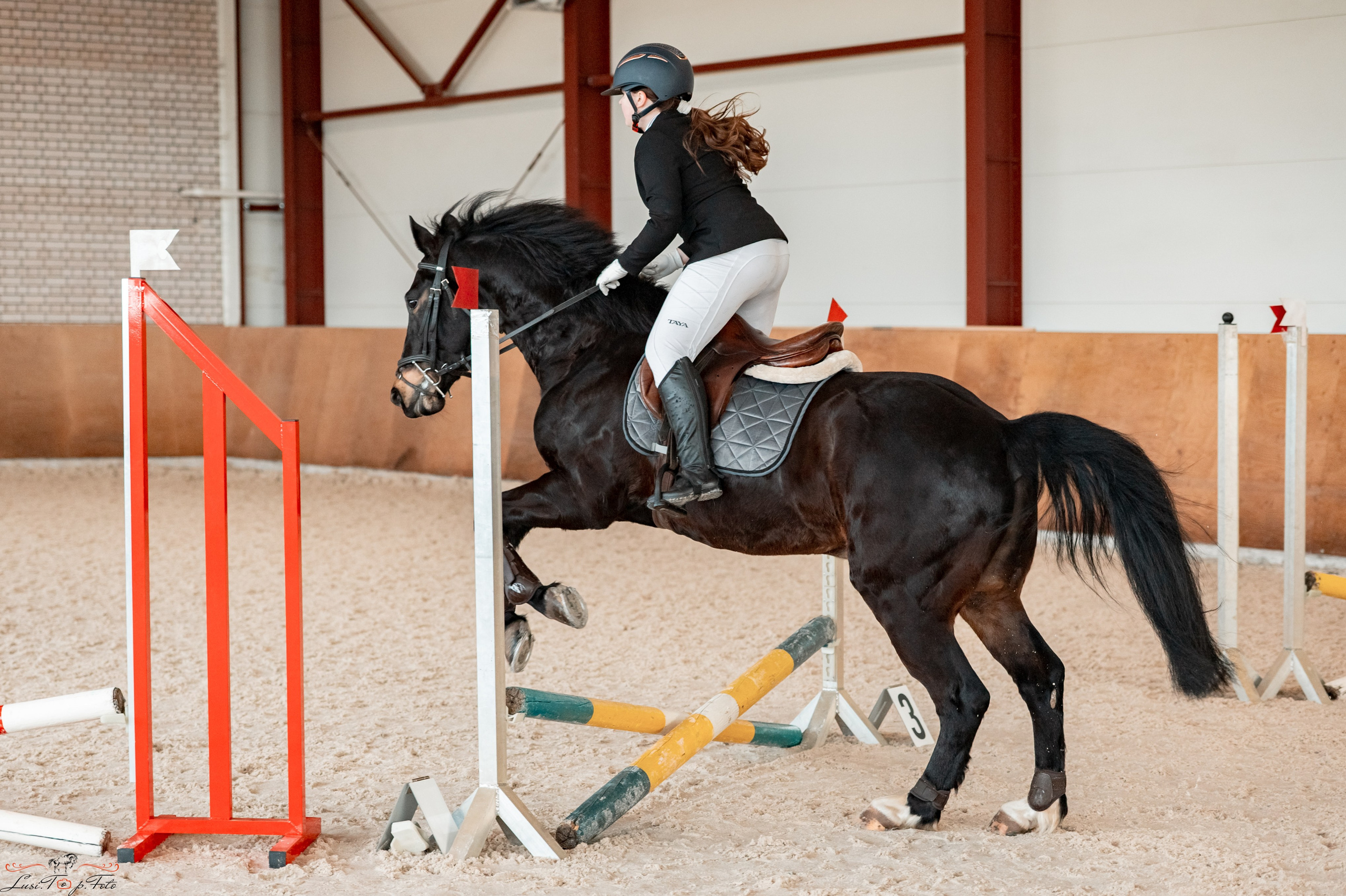 Эквипарк 6 этап Кубка Клубов. Конный и фотограф с животными в Твери Топталова Люся