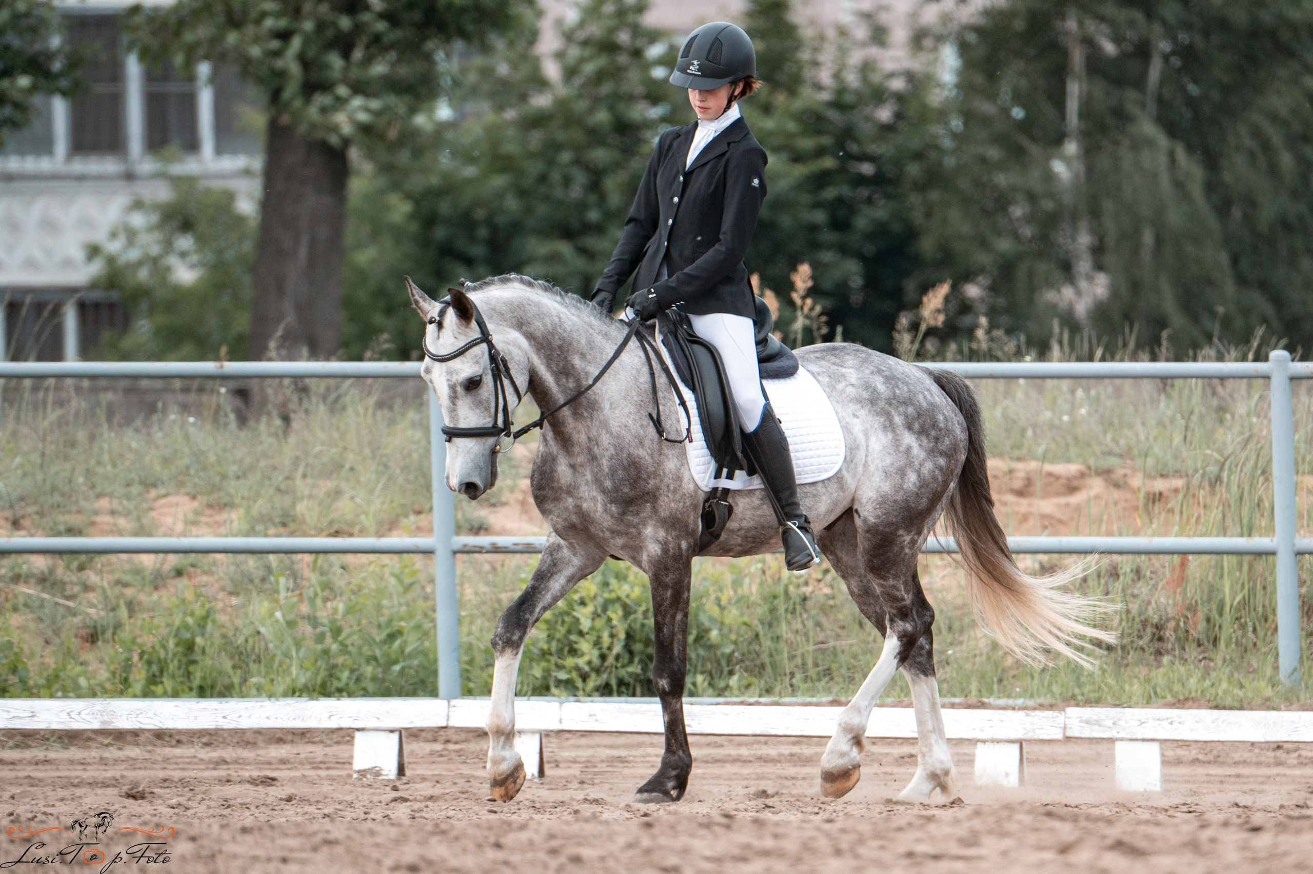Областные соревнования по выездке. Тверь. Конный и фотограф с животными в Твери Топталова Люся