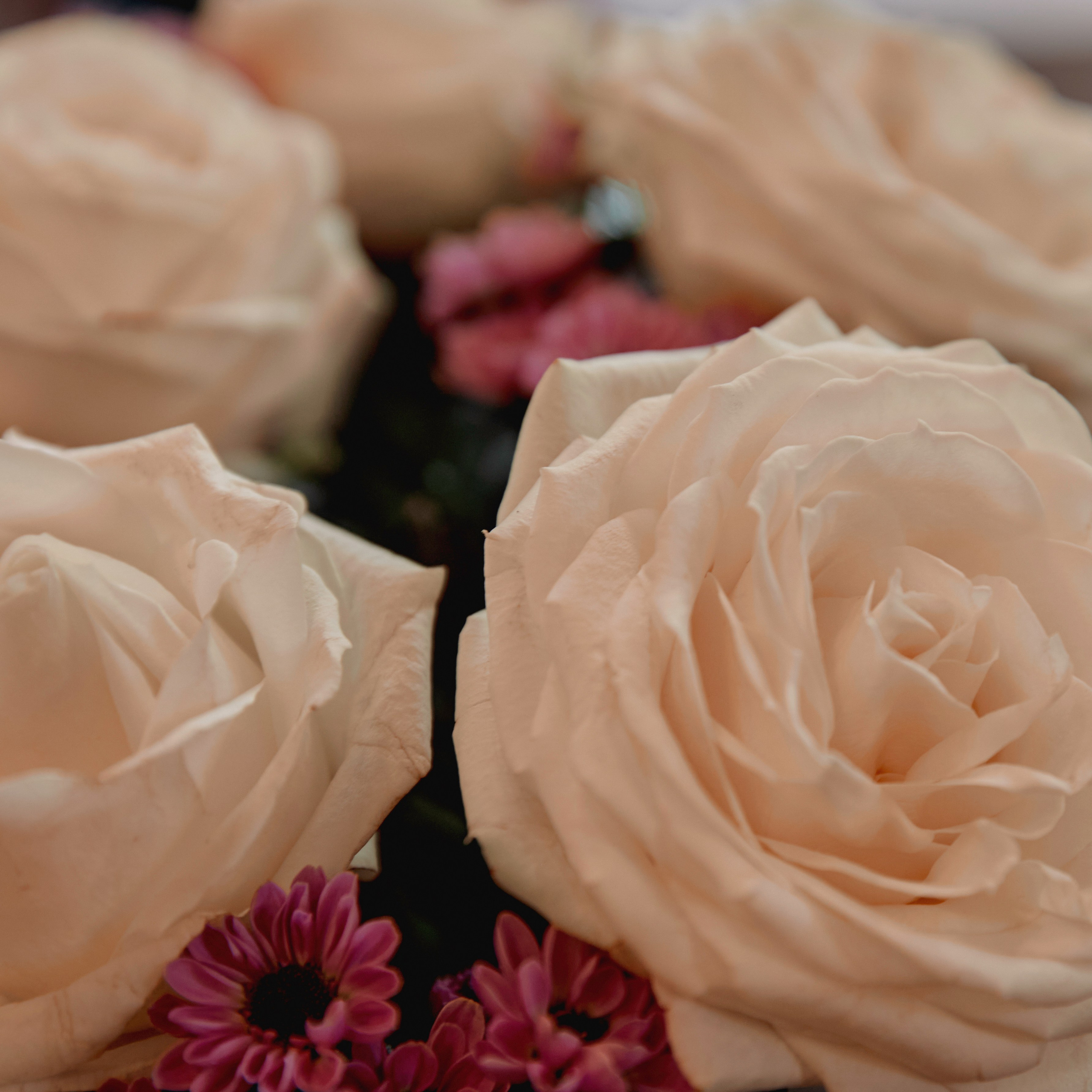 Мария и Эдуард