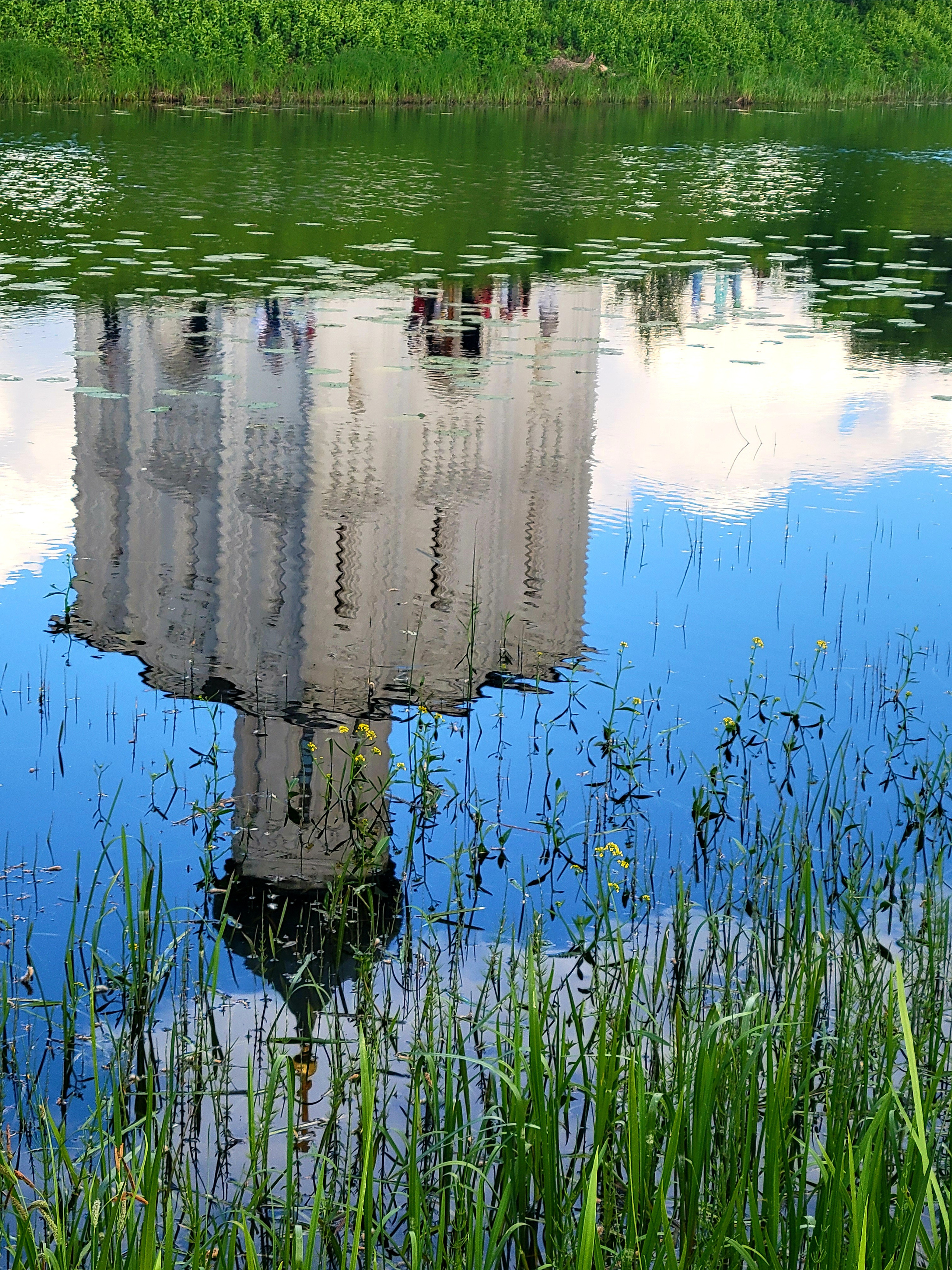 В отражении