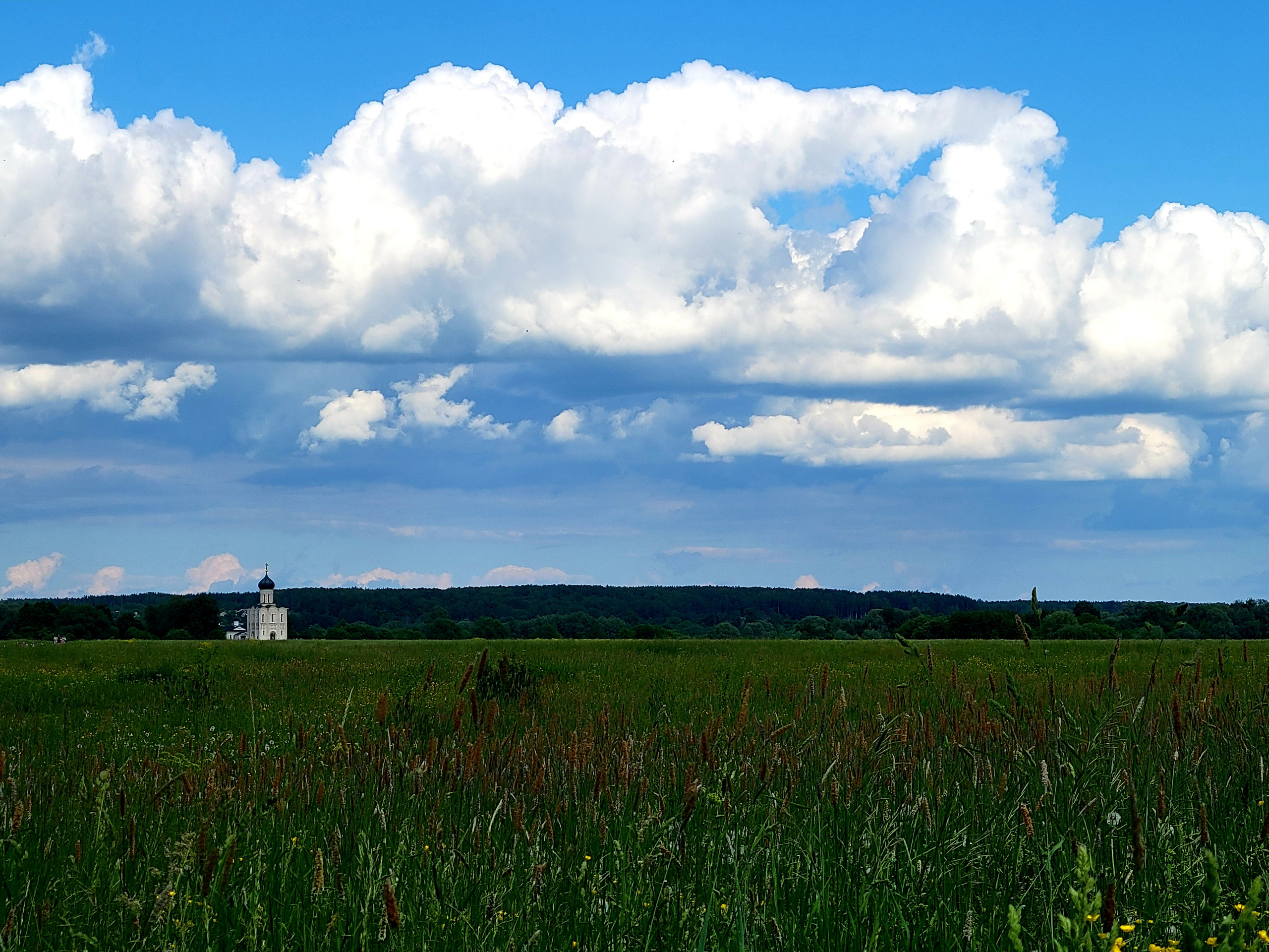 В детстве шли через заливные луга к храму Покрова на Нерли