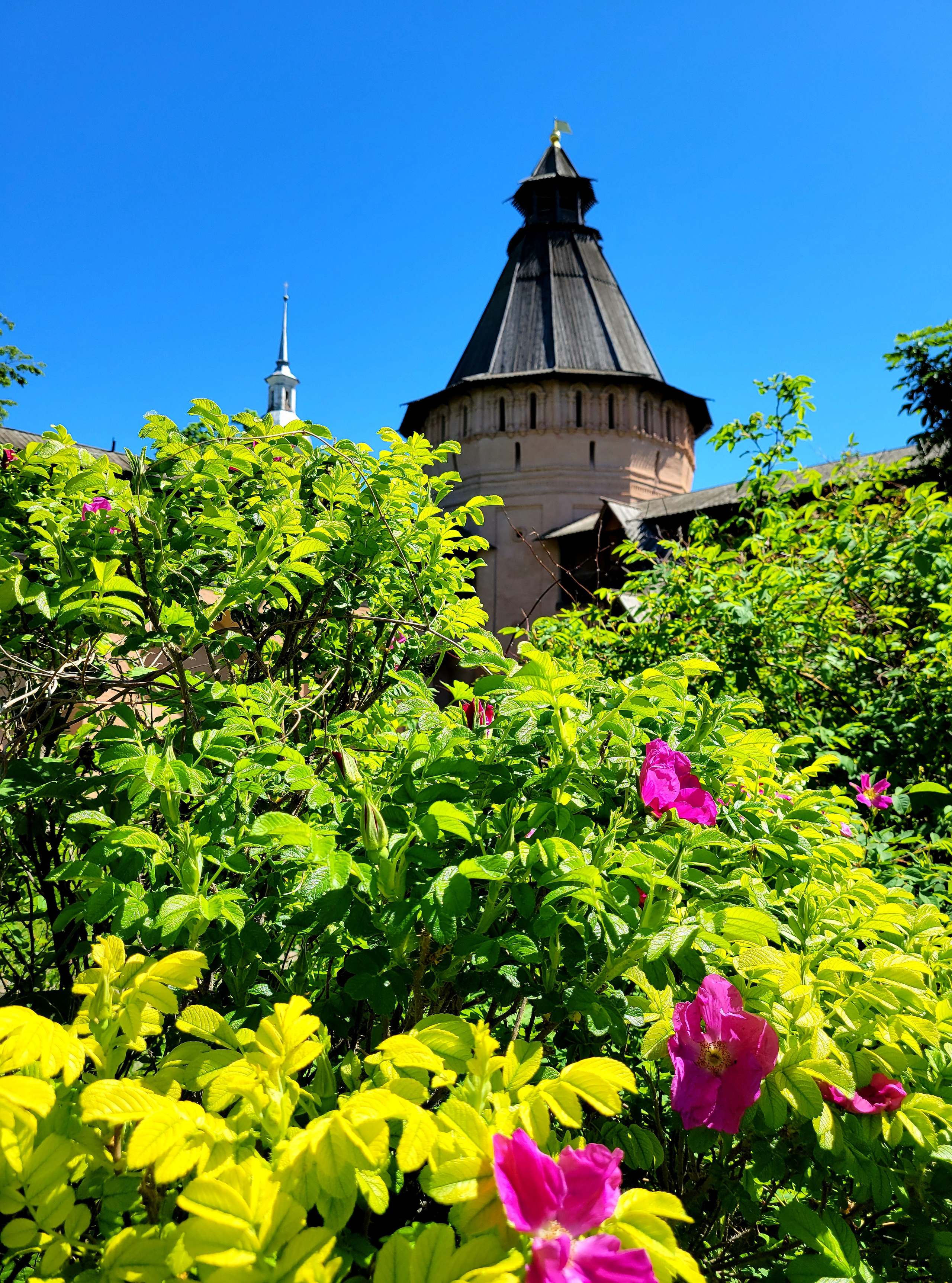 Монастыри, храмы, цветники...