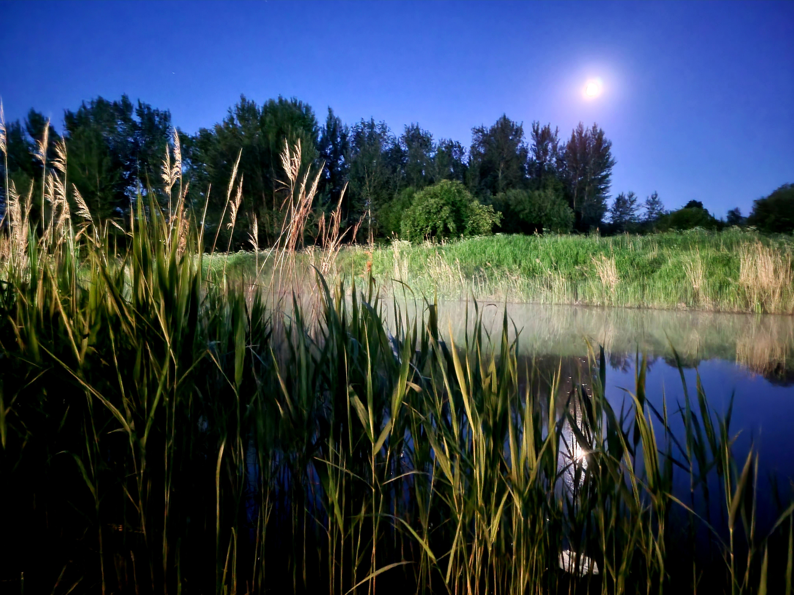 Очень атмосферная, почти белая ночь