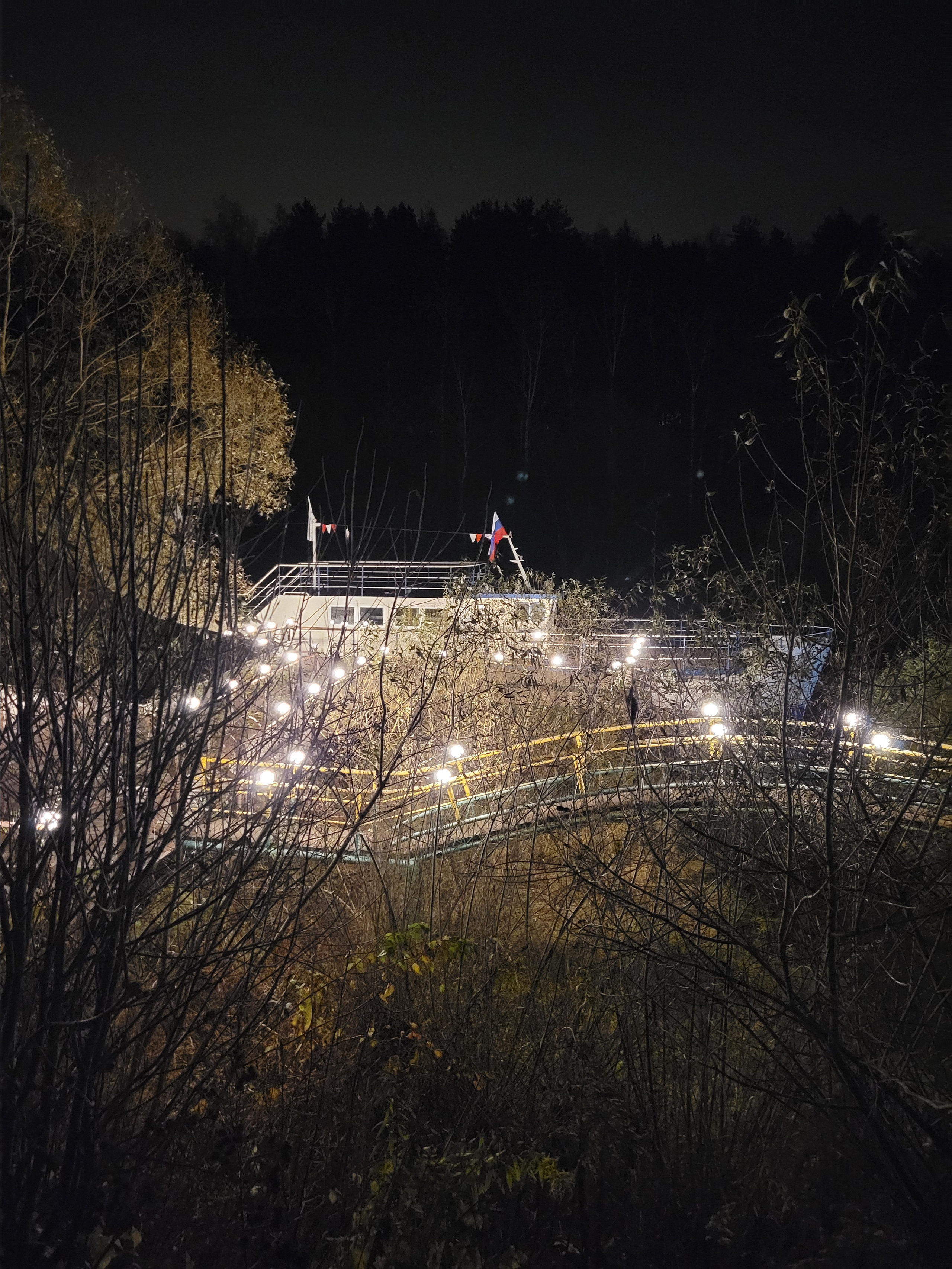 В ночи корабль выглядит светлым пятном в окружении темного парка и леса