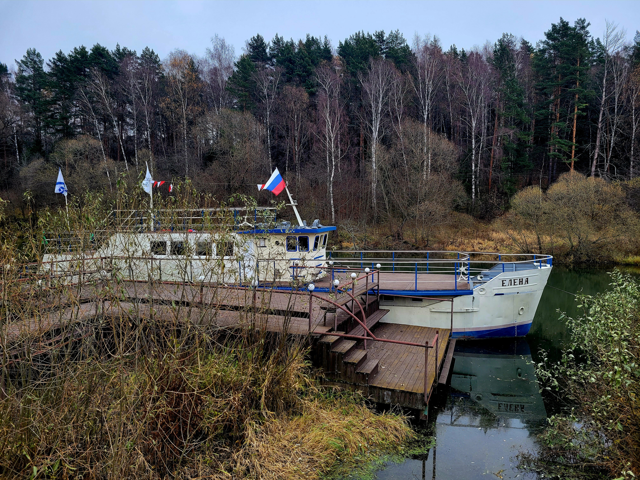 Притаился за кустами