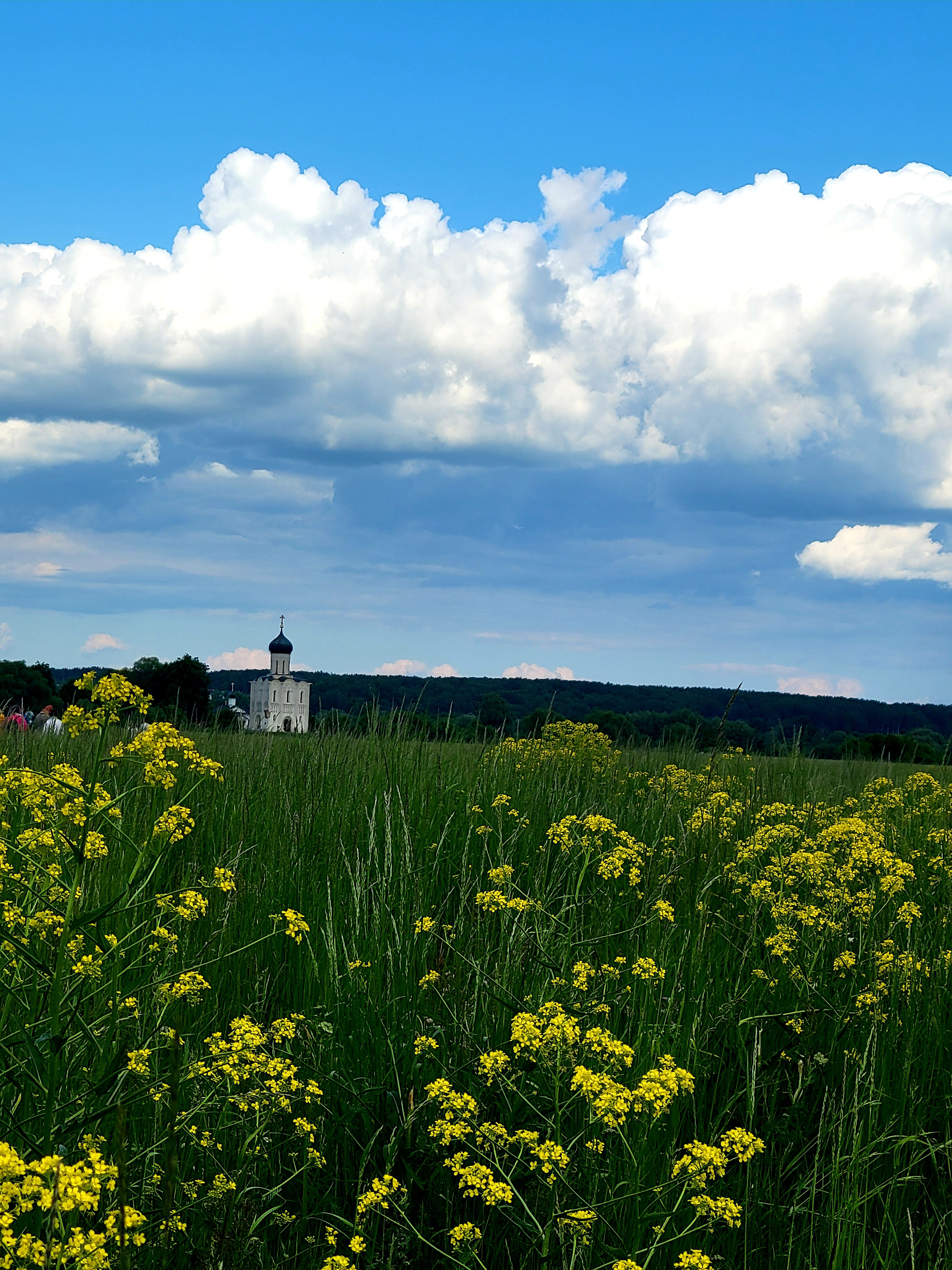 Очень хочу оказаться здесь: на рассвете, в туман, в весенний паводок