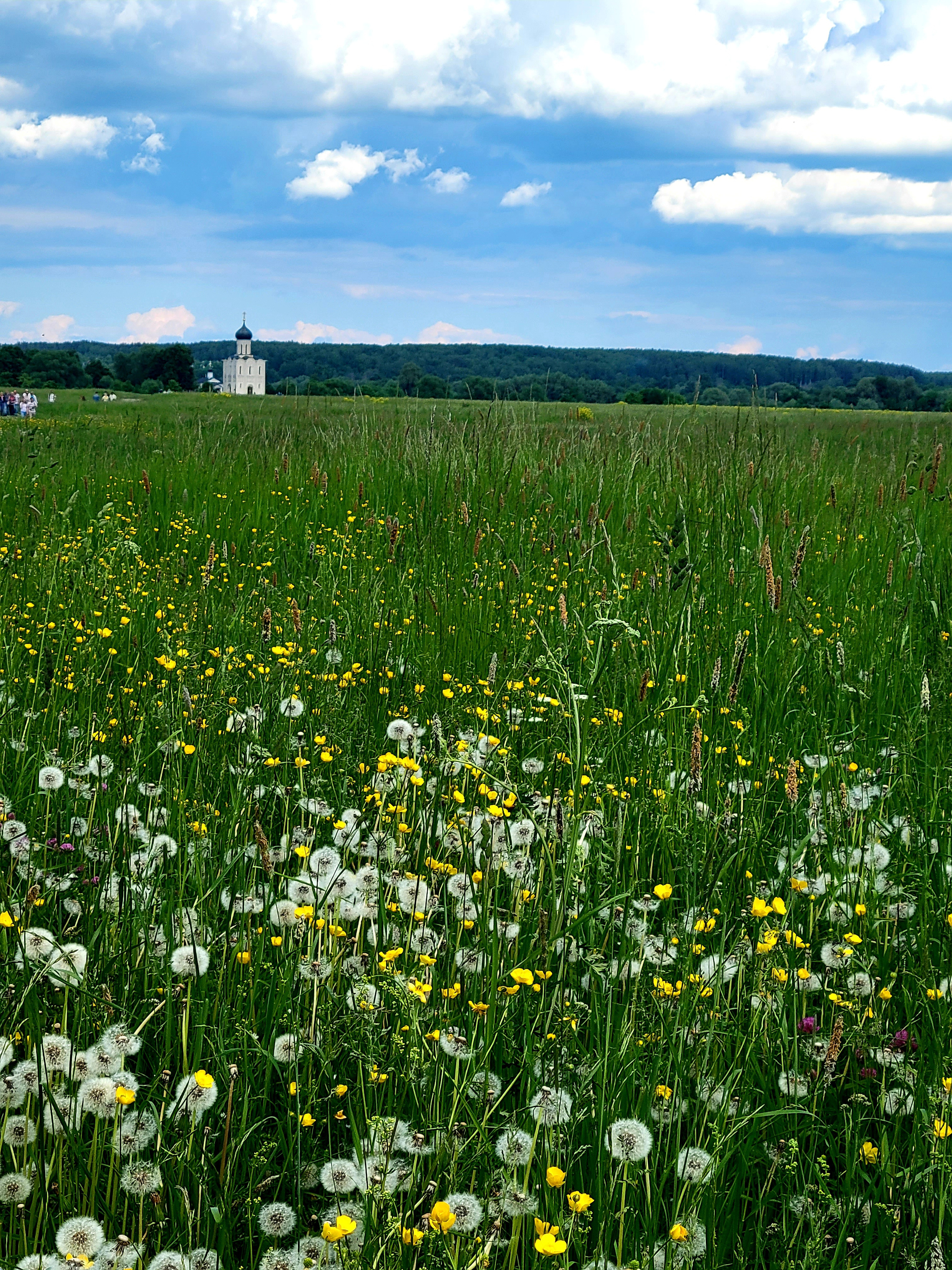С растущим из лугов храмом