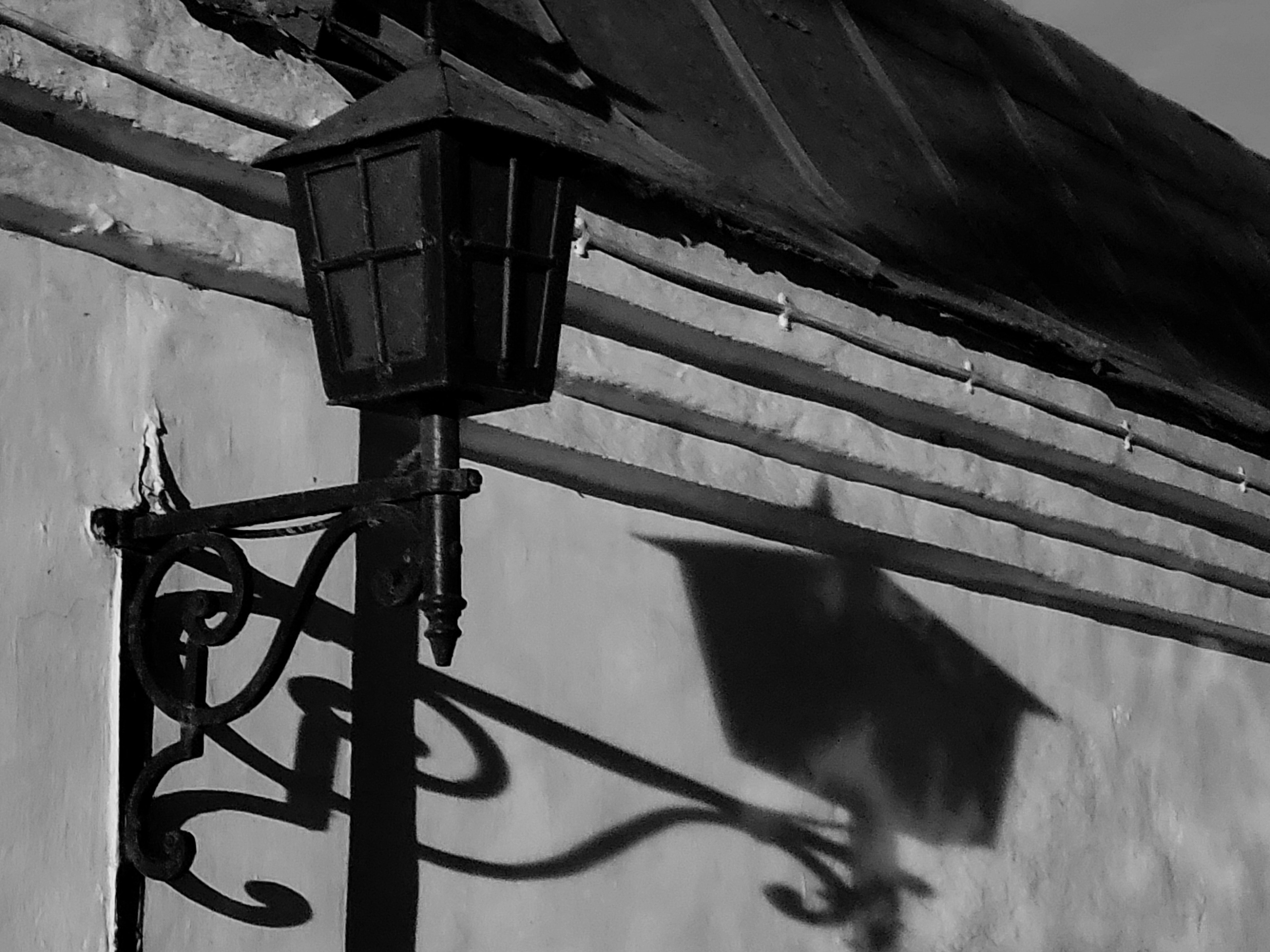 Уютный город в летнее время