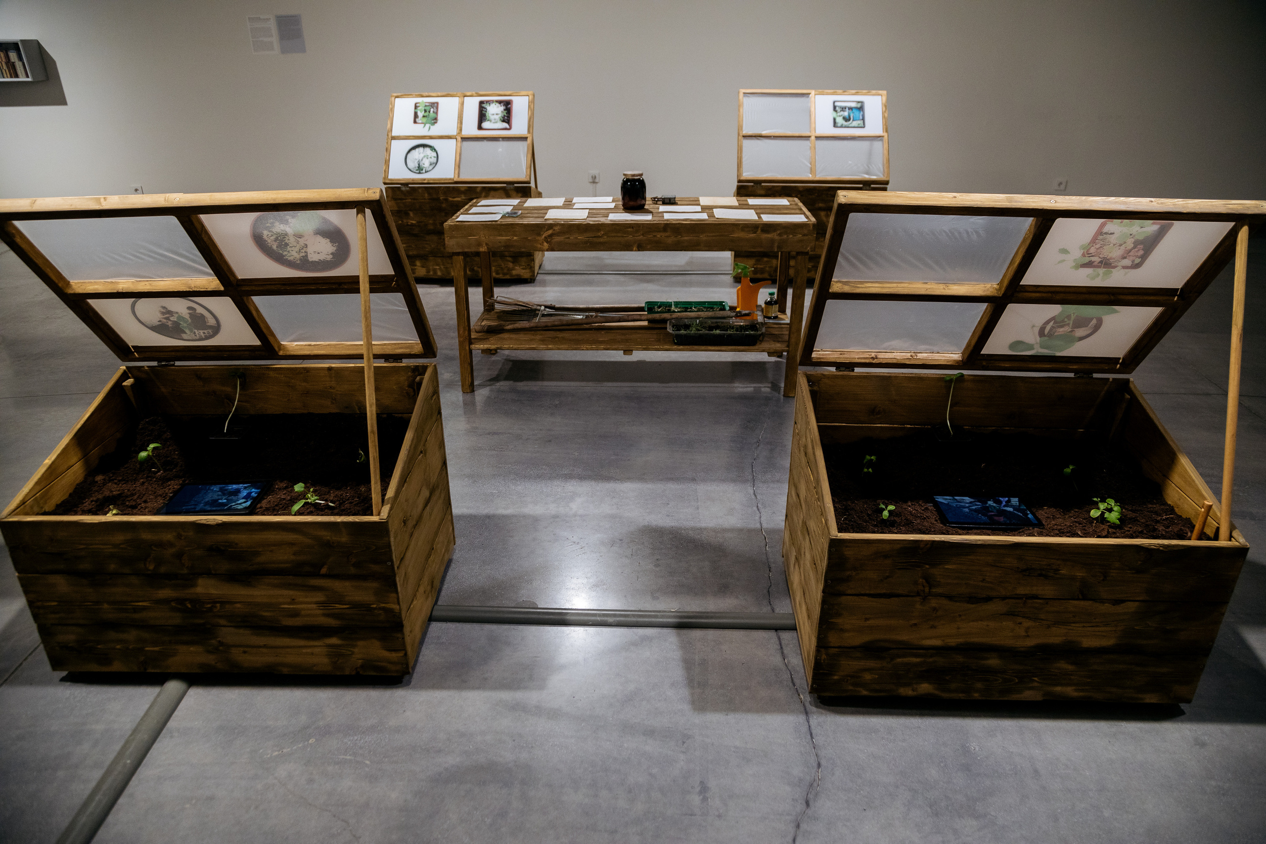 Installation: greenhouses, plants, video, UV-prints on glass, grandmother’s letters, jar of jam. Art Gallery, Yeltsin Center, Yekaterinburg, Russia, 2023. Photo: Lyubov Kabalinova