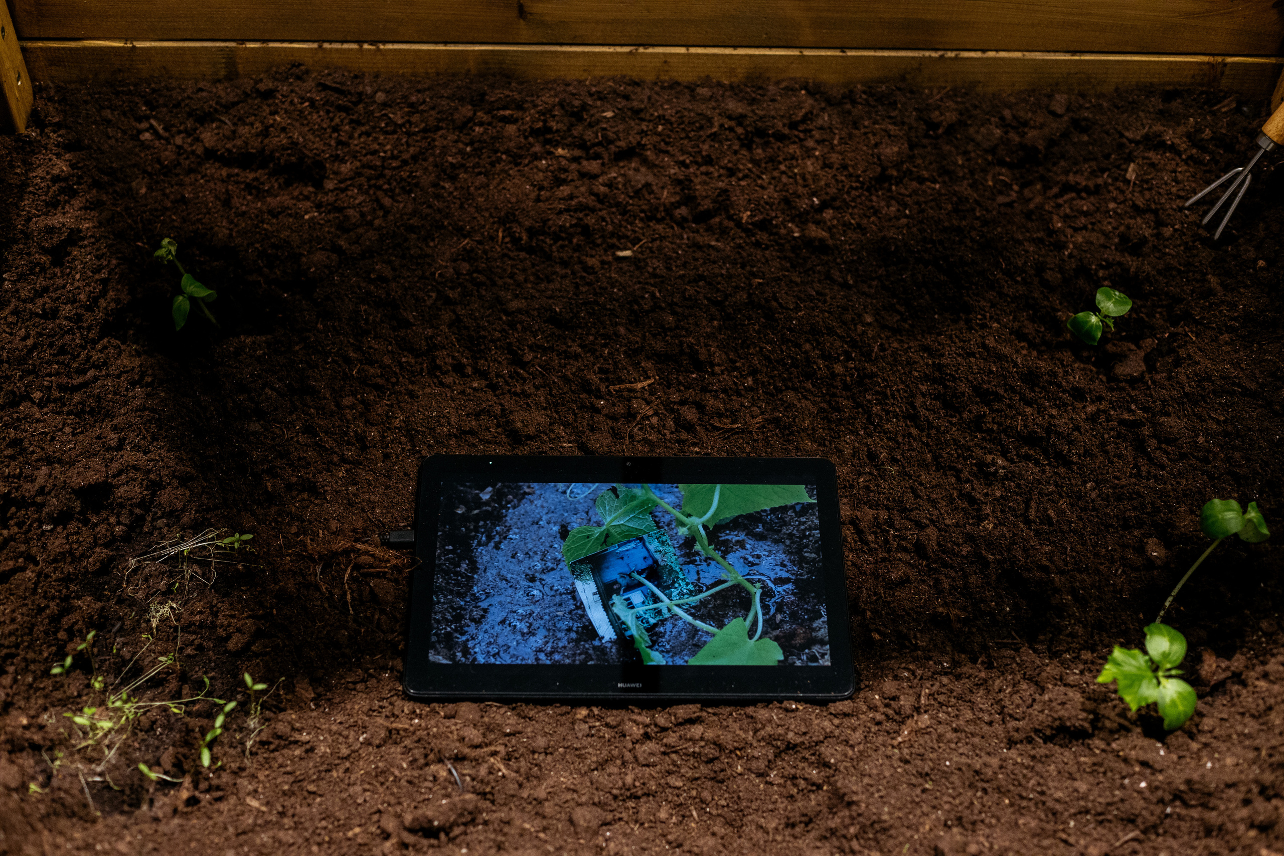 Installation: greenhouses, plants, video, UV-prints on glass, grandmother’s letters, jar of jam. Art Gallery, Yeltsin Center, Yekaterinburg, Russia, 2023. Photo: Lyubov Kabalinova