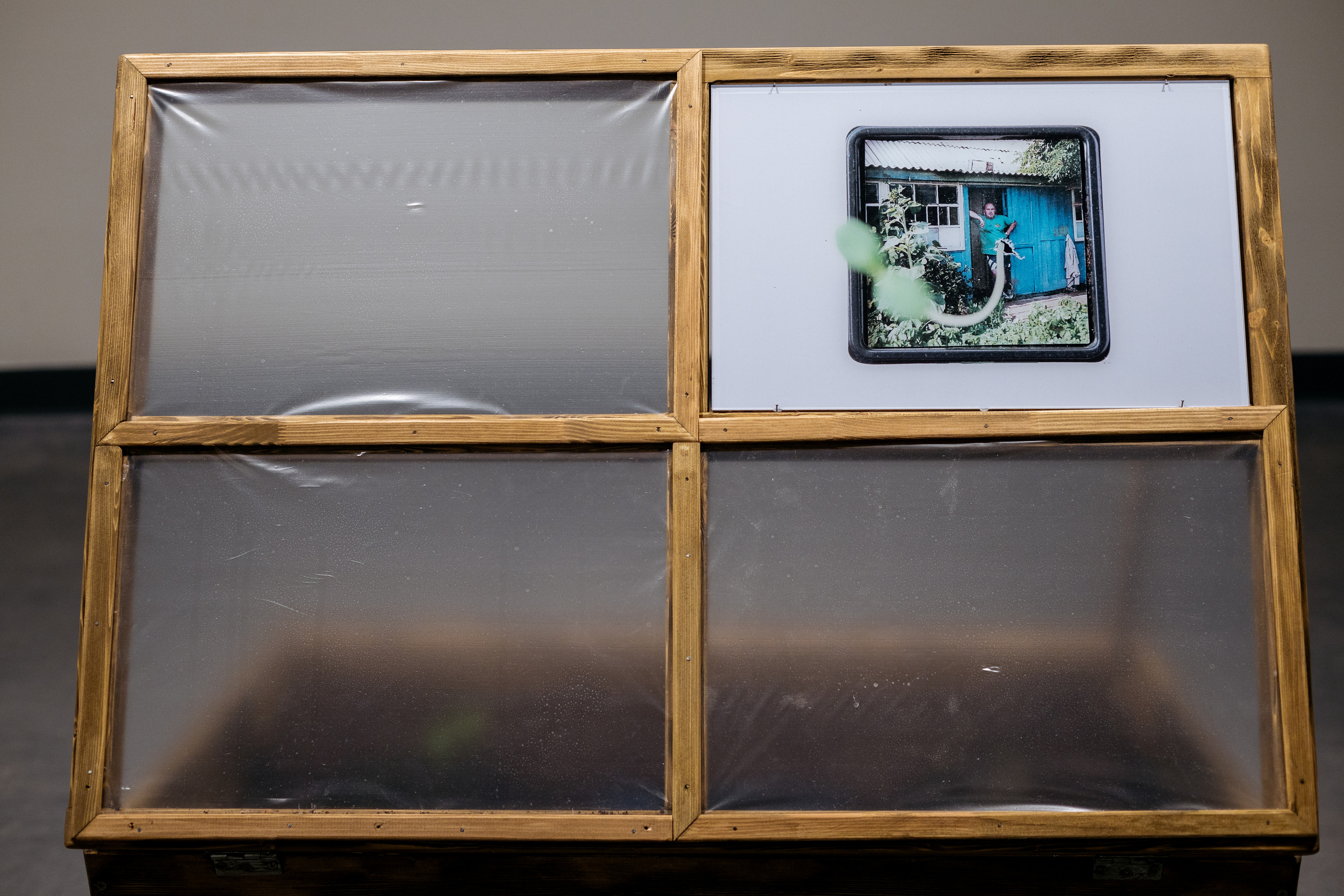 Installation: greenhouses, plants, video, UV-prints on glass, grandmother’s letters, jar of jam. Art Gallery, Yeltsin Center, Yekaterinburg, Russia, 2023. Photo: Lyubov Kabalinova