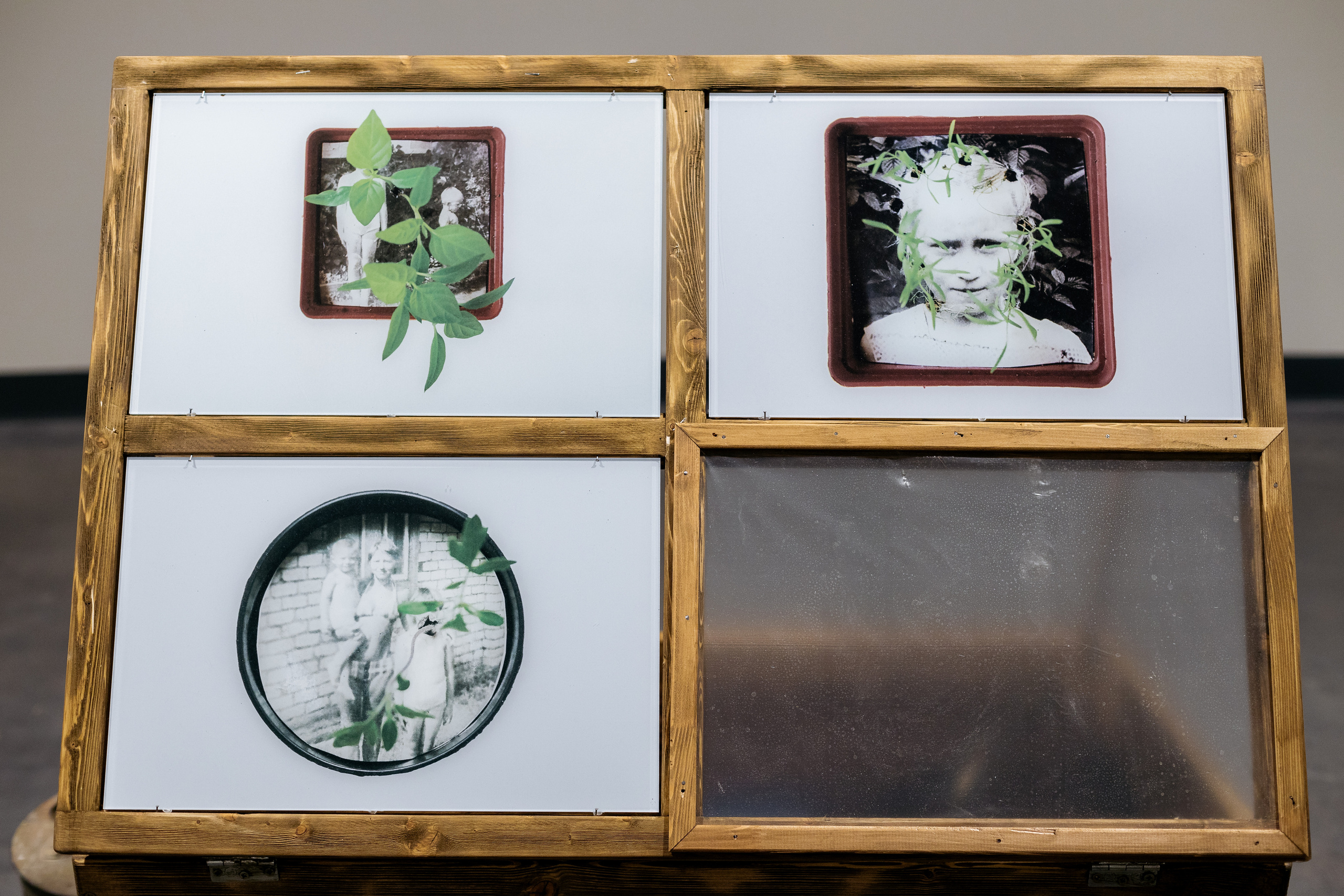 Installation: greenhouses, plants, video, UV-prints on glass, grandmother’s letters, jar of jam. Art Gallery, Yeltsin Center, Yekaterinburg, Russia, 2023. Photo: Lyubov Kabalinova