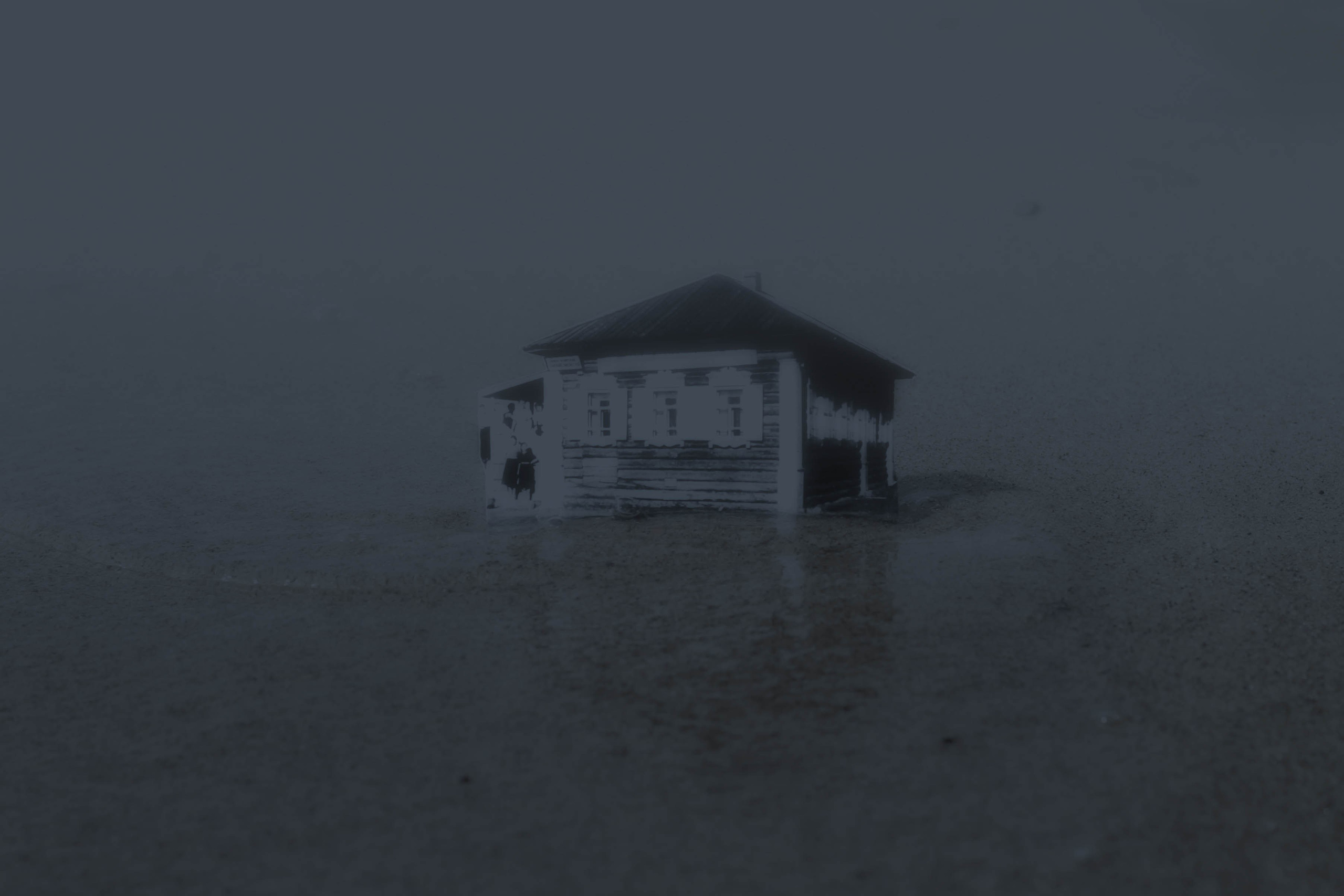 Тропа волн. Julia Altukhova, multimedia artist