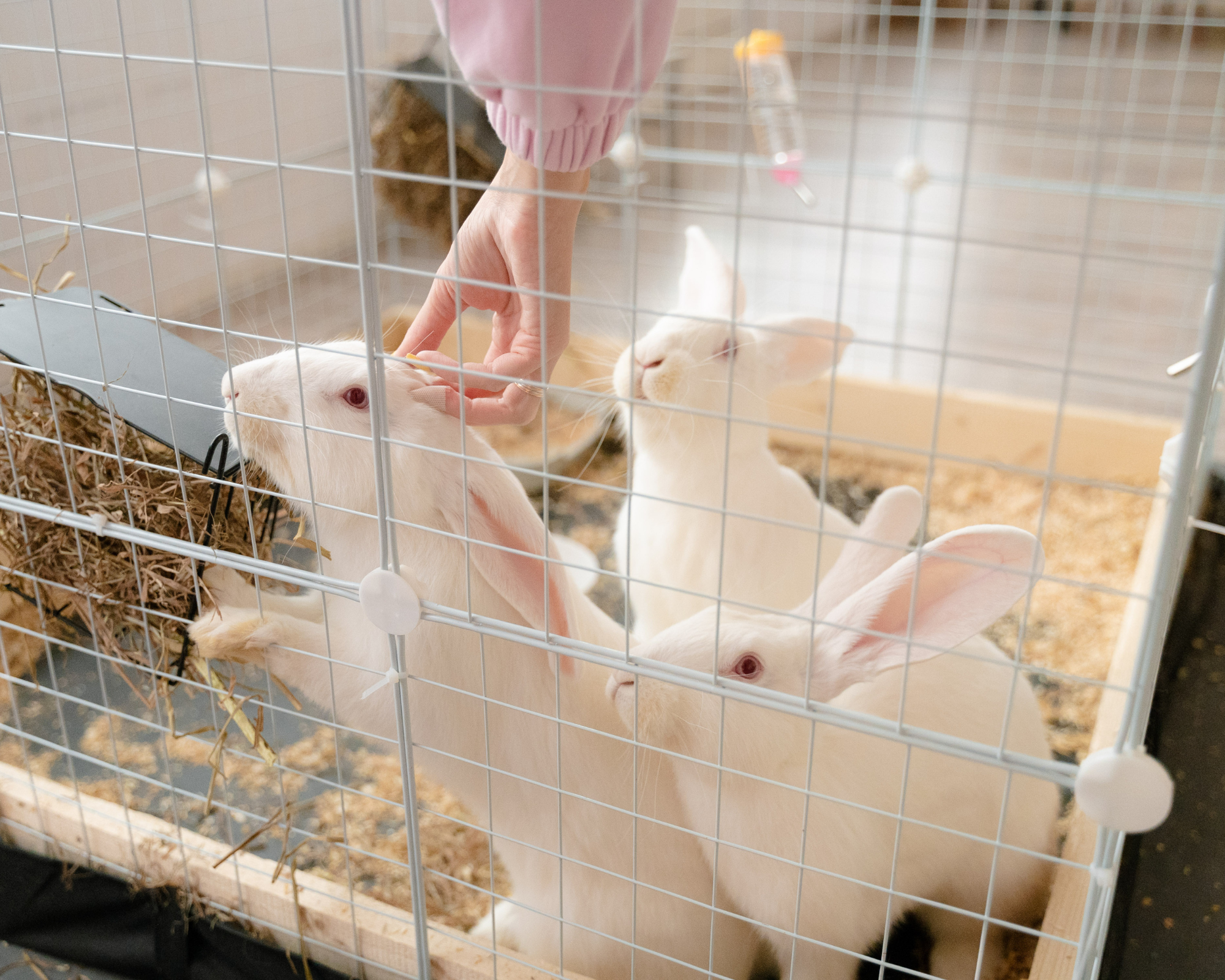 Фотостудия Молоко в Минске