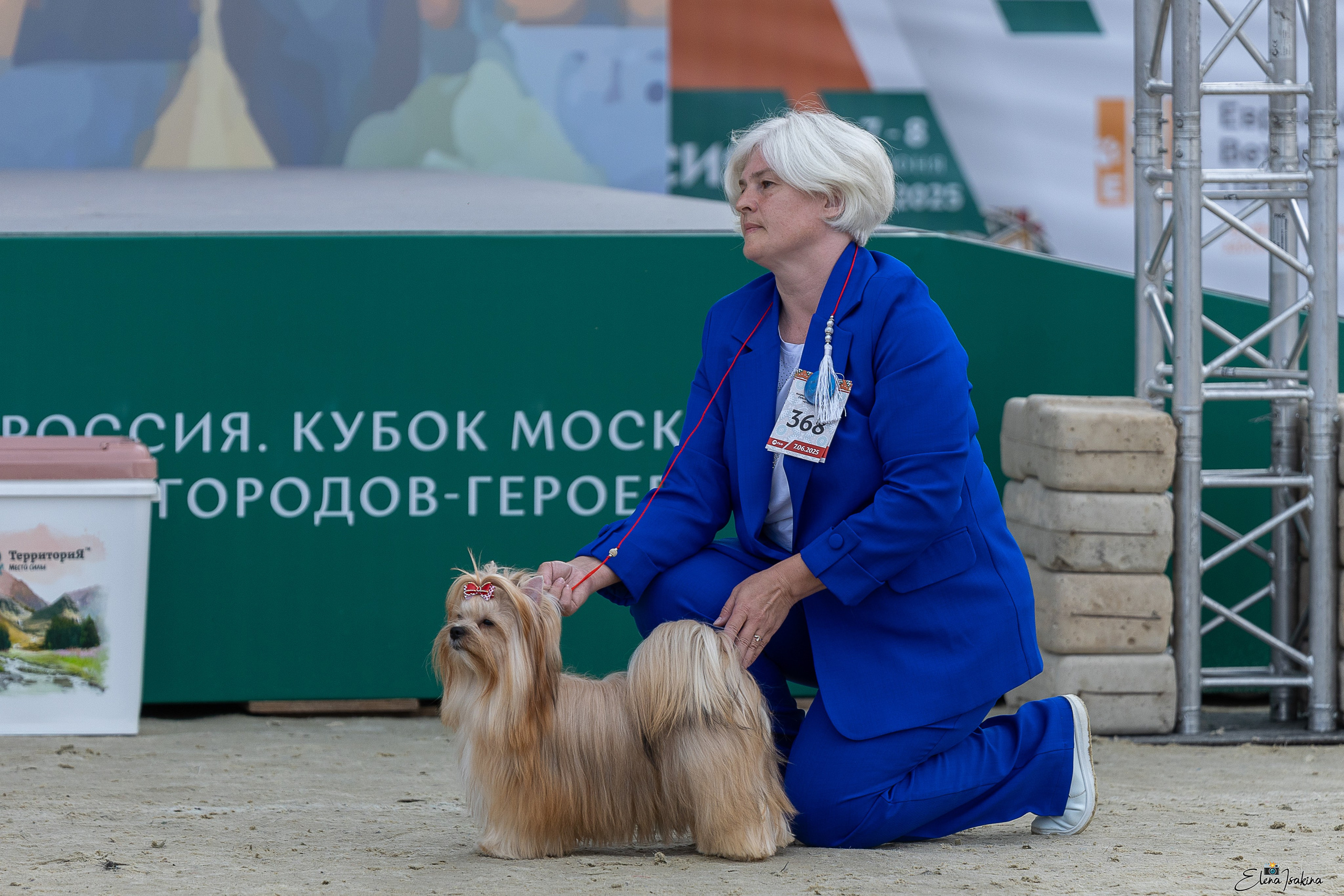 Россия 2025. Купить щенка Вельш-корги-кардиган в семейном питомнике — Ice Fantasy