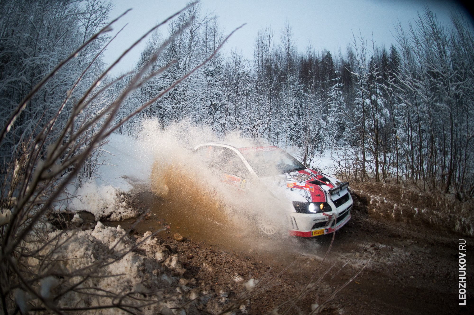 Rally Vyborg 2024. Sports photographer Leonid Zhukov