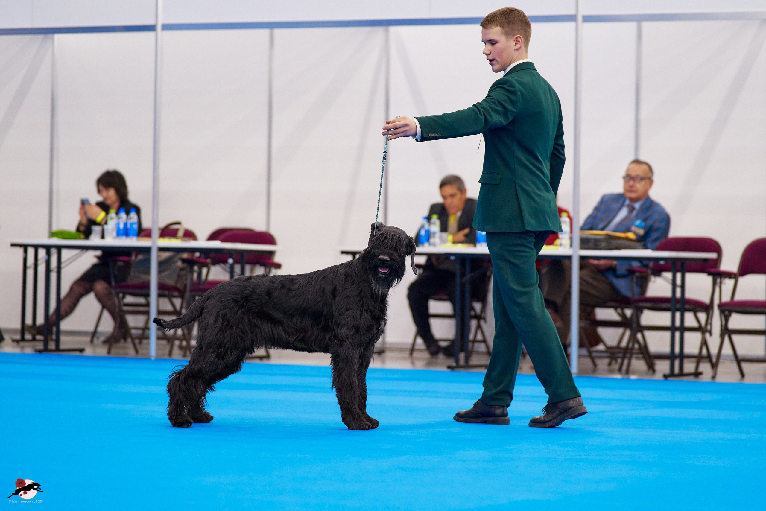 ГРАН ПРИ «ВЕСЕННИЙ ПЕТЕРБУРГ» & «СУПЕР КУБОК «ЭЛИТЫ»-2025»