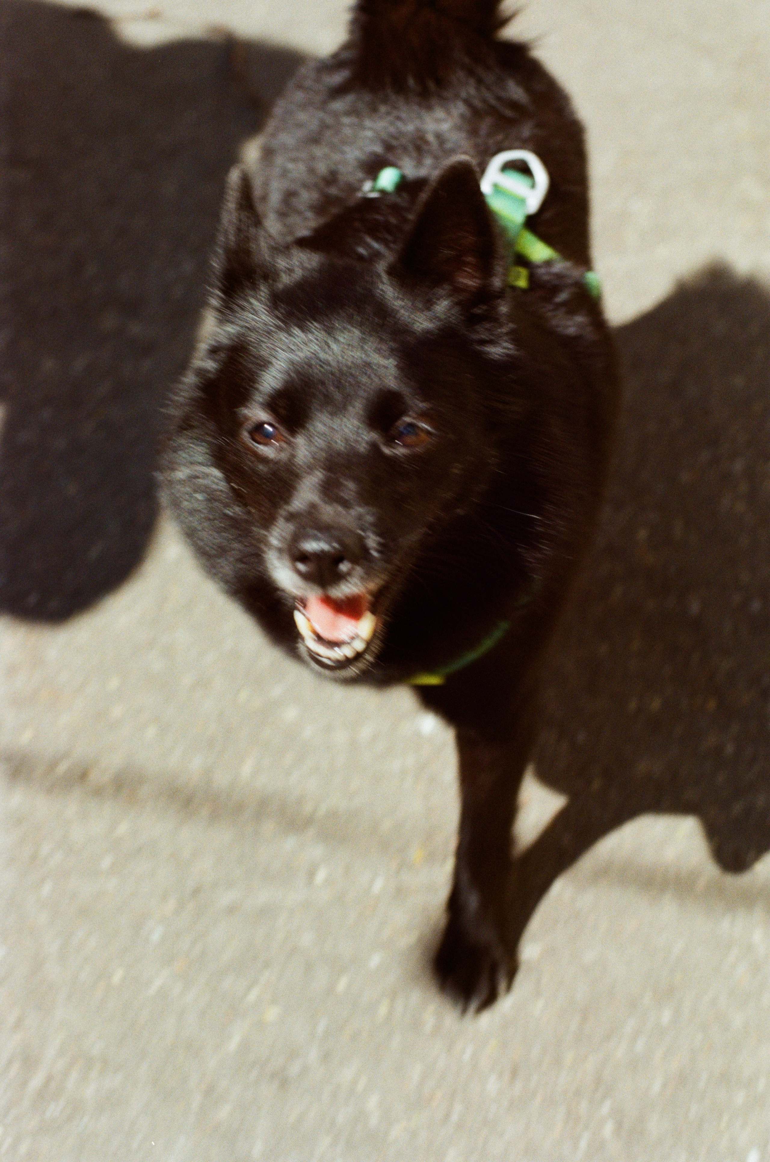 Peak 27.07.2025. Vladimir Tatko
