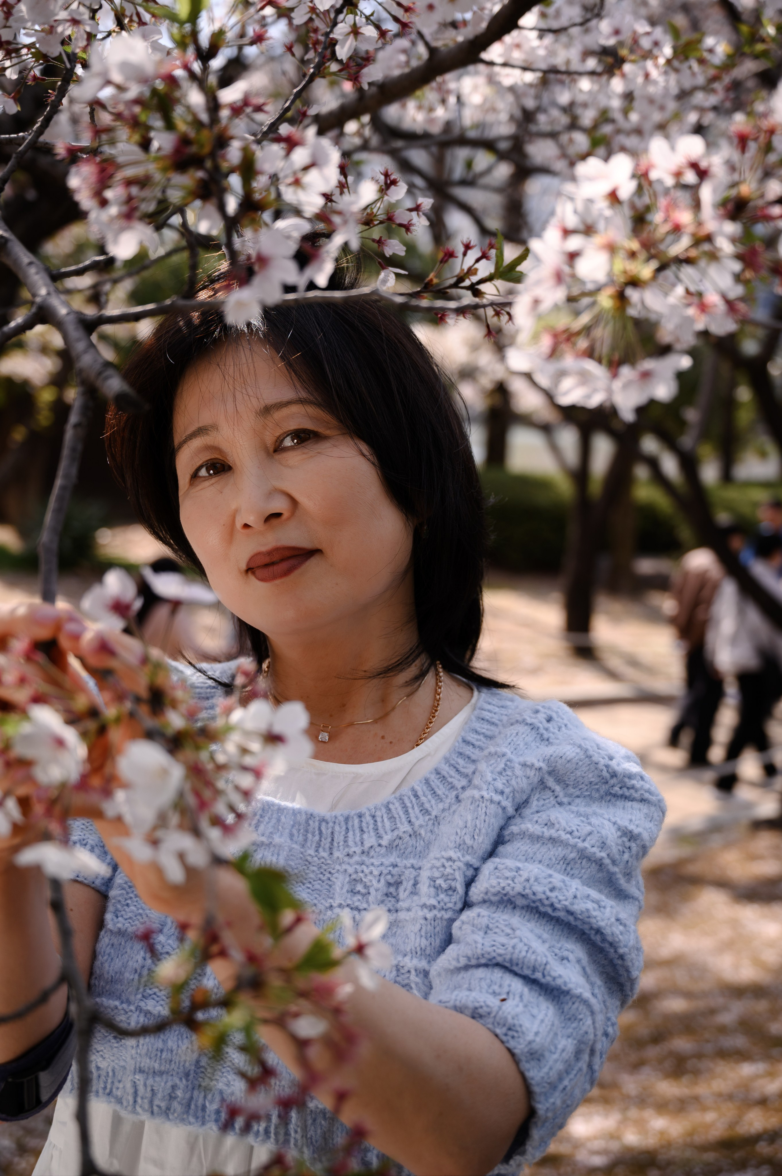 Retrato femenino bajo cerezos en flor en Busan Corea del Sur