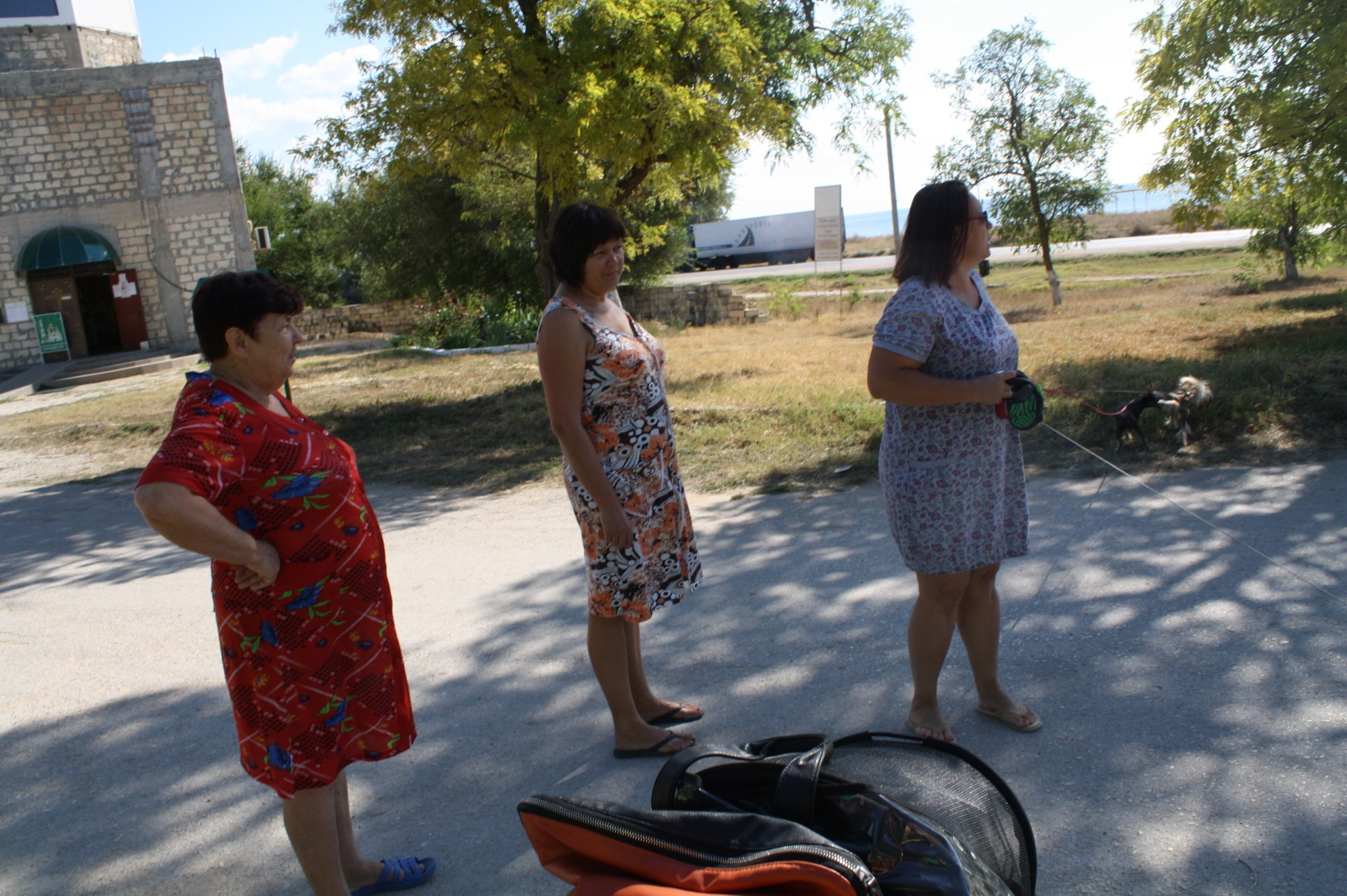 Dolzhanskaya Spit. Chinese Crested Dog Kennel Poale Ell