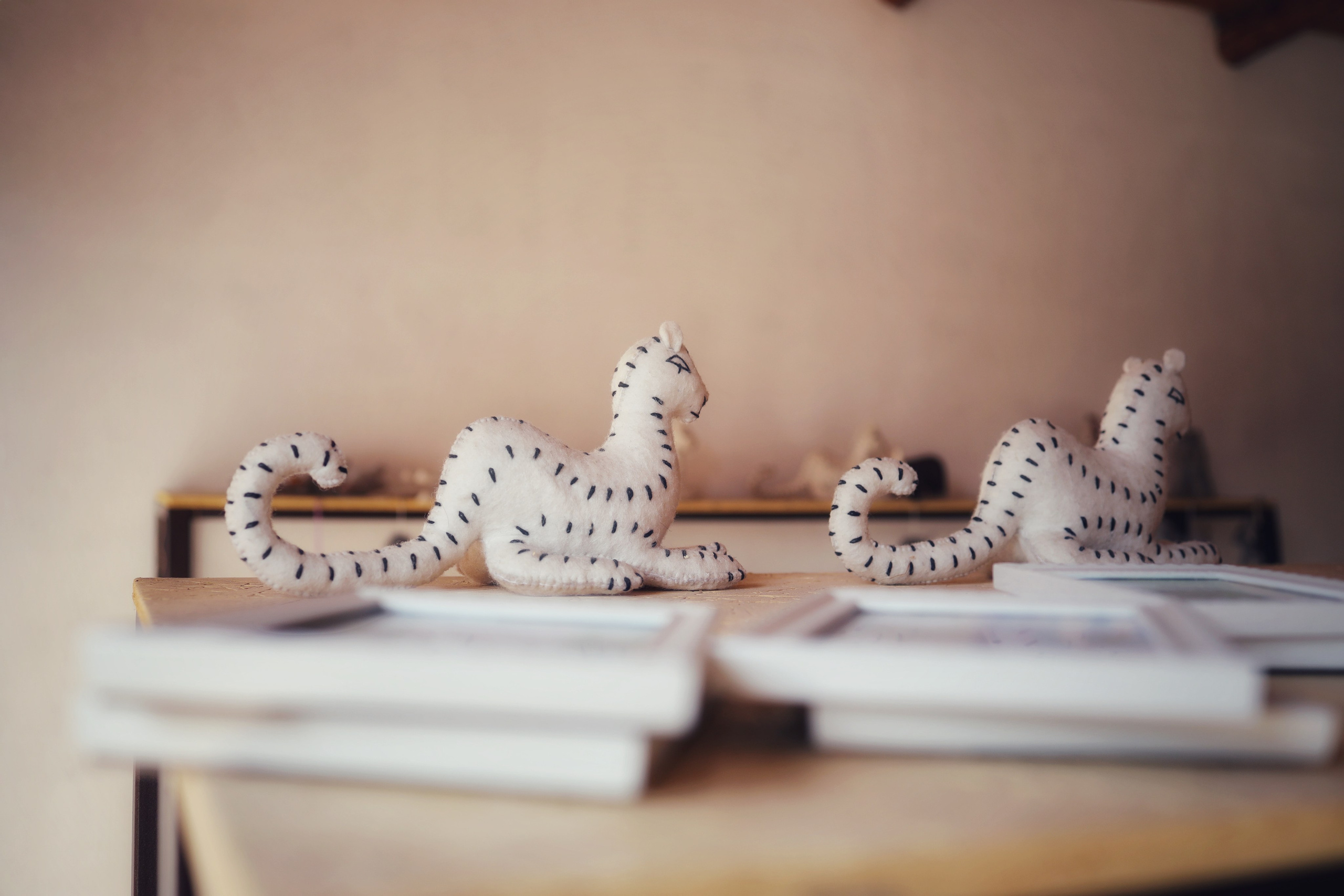 Zhanyl Baisheva, UNESCO ICH / Kyrgyzstan 2024. POLINA MÔMOT