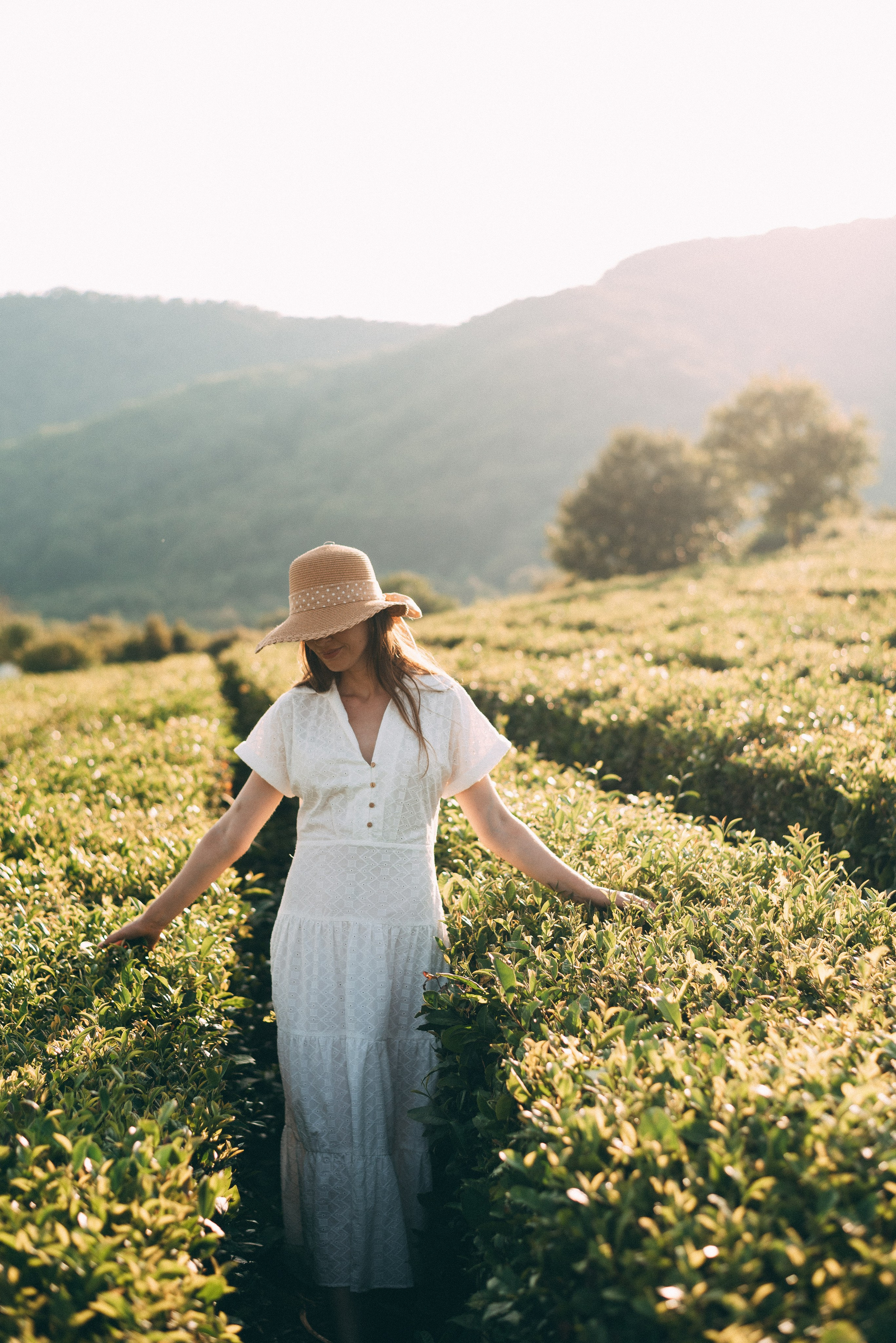 Фотосъемки в горах на чайных плантациях Сочи. Фотограф в Сочи — Маргарита Поганова