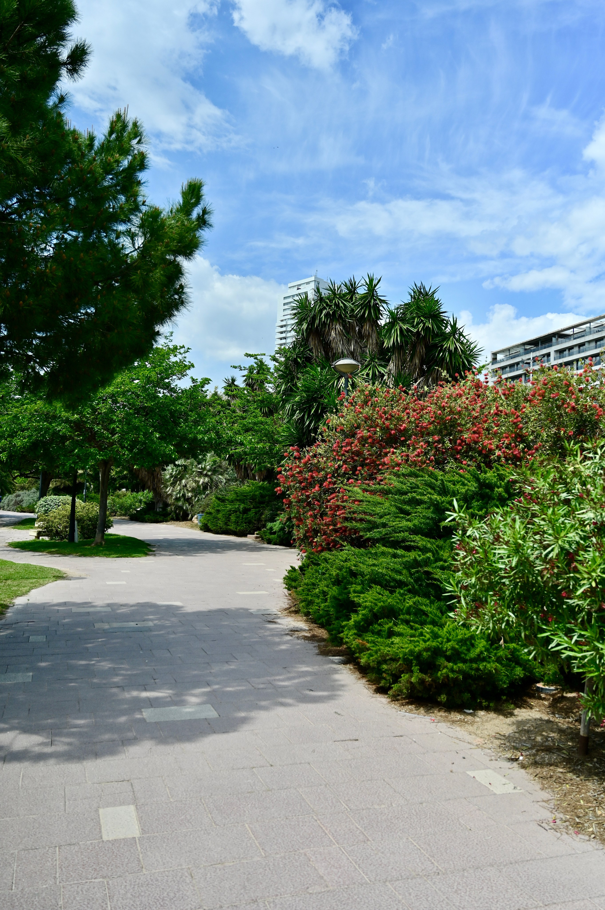 Парки Валенсии. Гид и фотограф в Валенсии Новиков Михаил