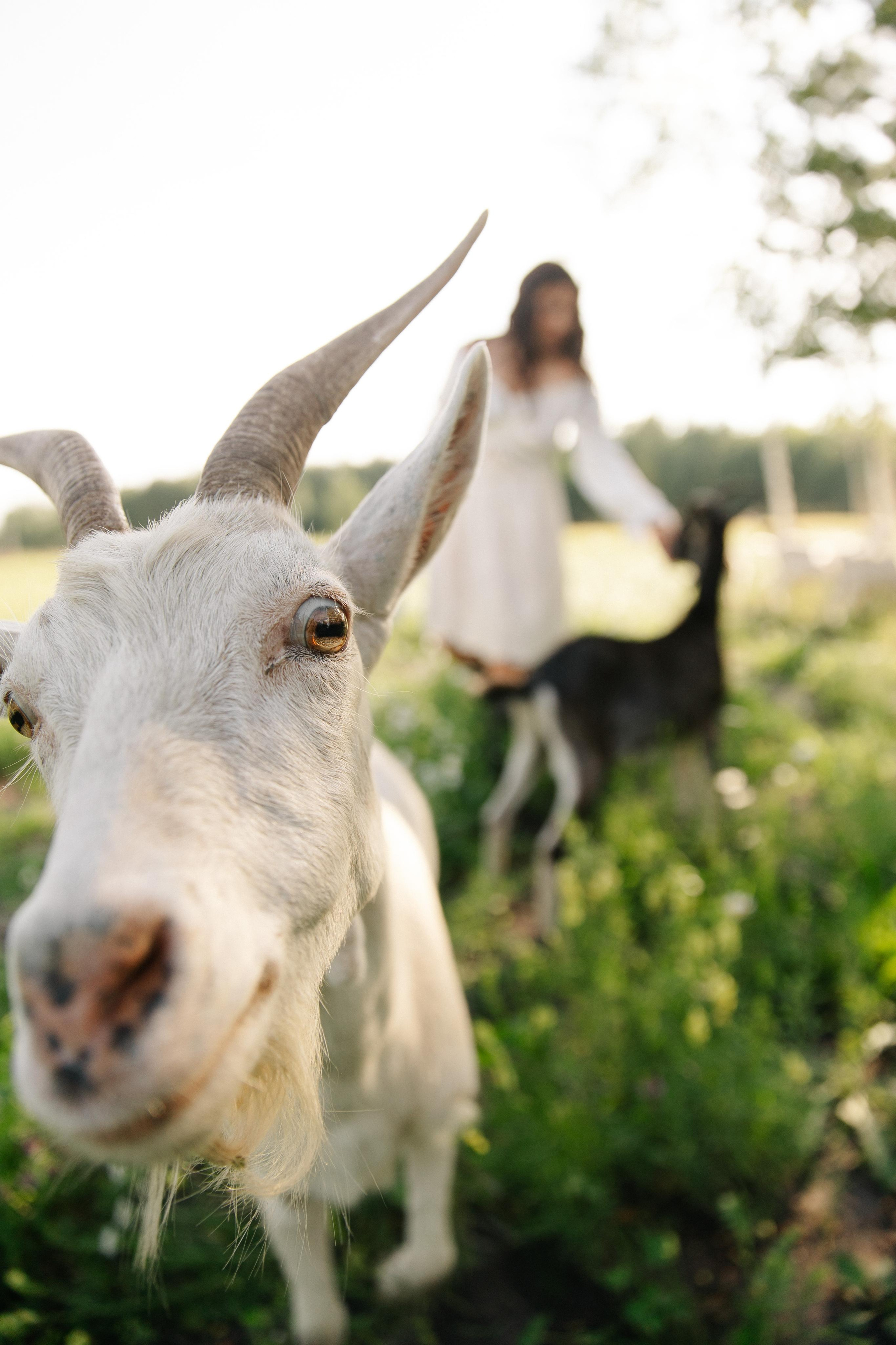 A. Фотограф в Новосибирске и Москве