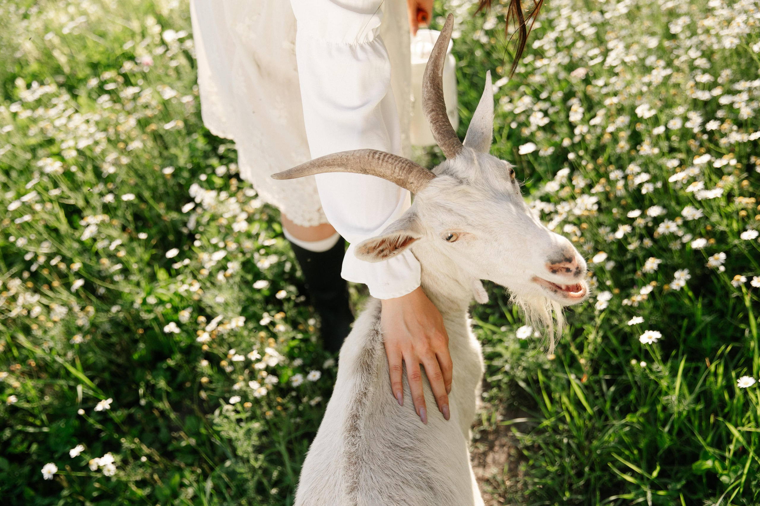 A. Фотограф в Новосибирске и Москве