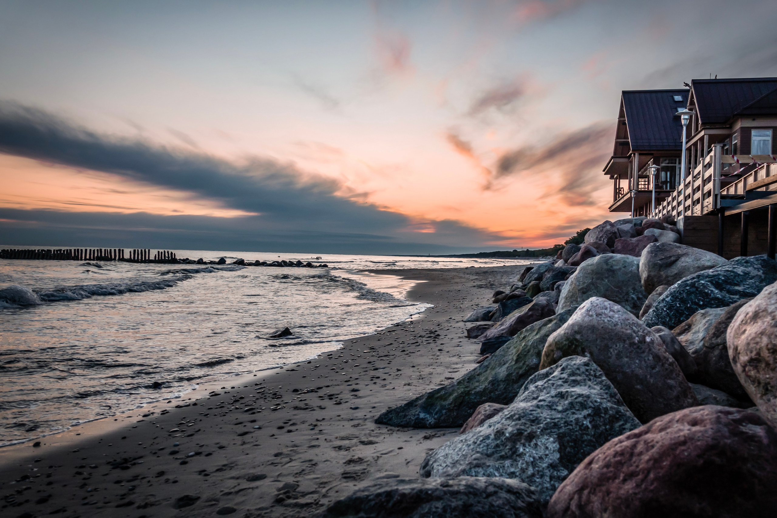 Калининград 2023. Фотограф-анималист в Москве Юлия Лайхо